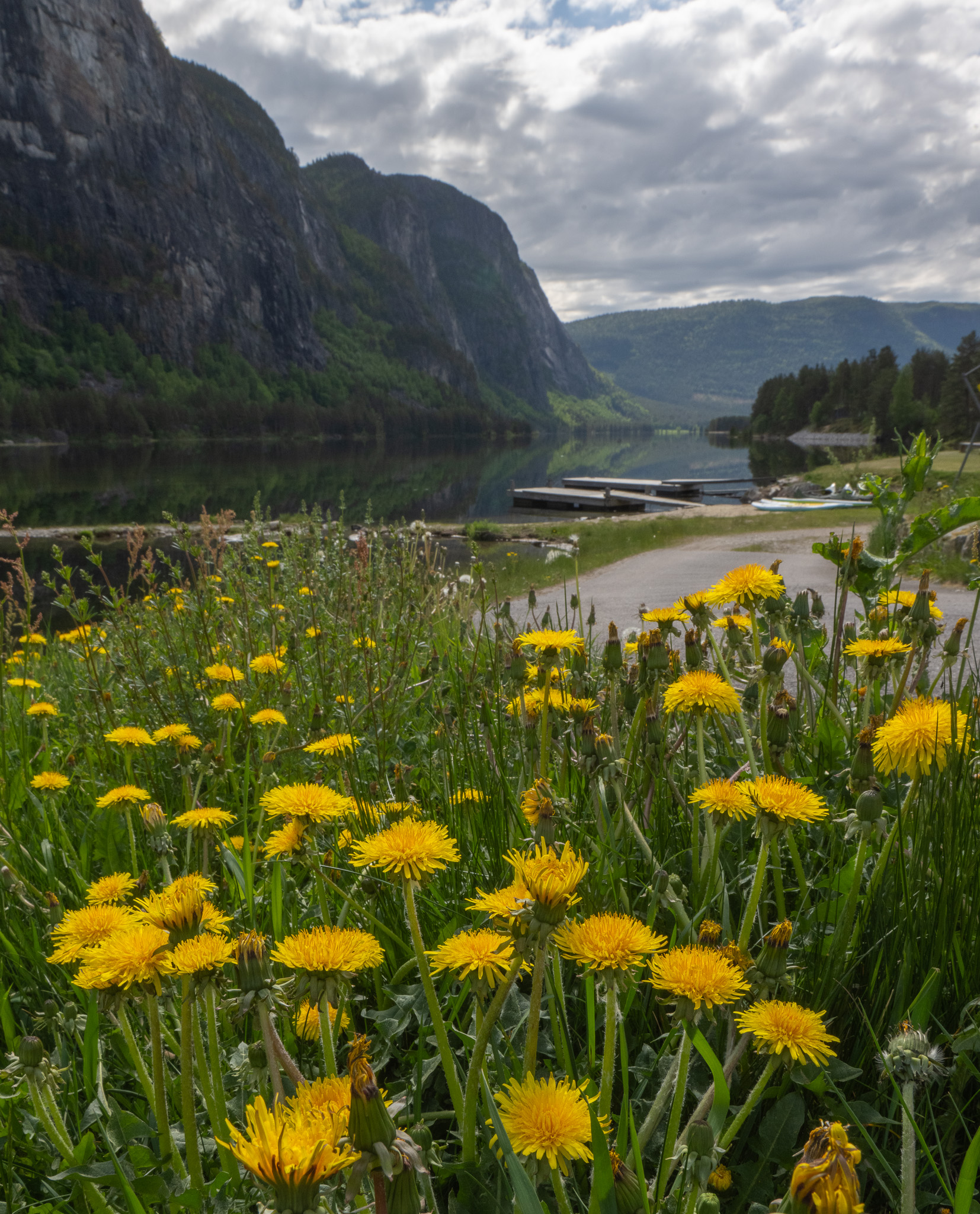 Setesdalssida | Det var framleis sommarstemning over Otra nedforbi ...
