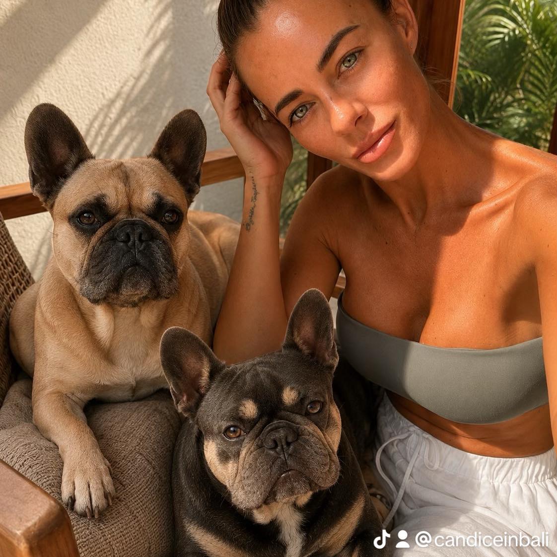 Our morning routine is better than yours. 🐾🐶 Clean Skin folds and eyes ...