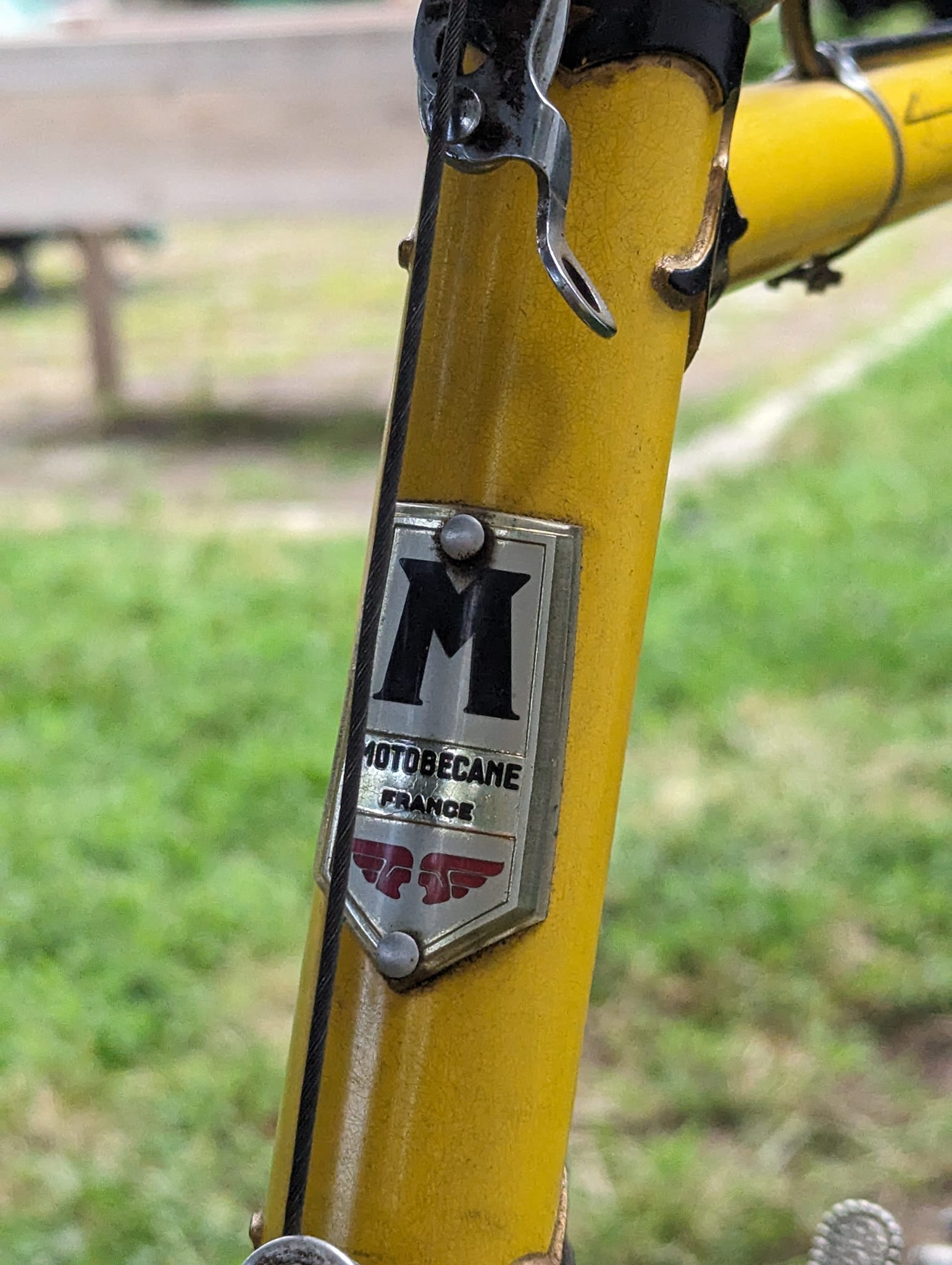 Motobecane bike purchase and restoration display picture 1