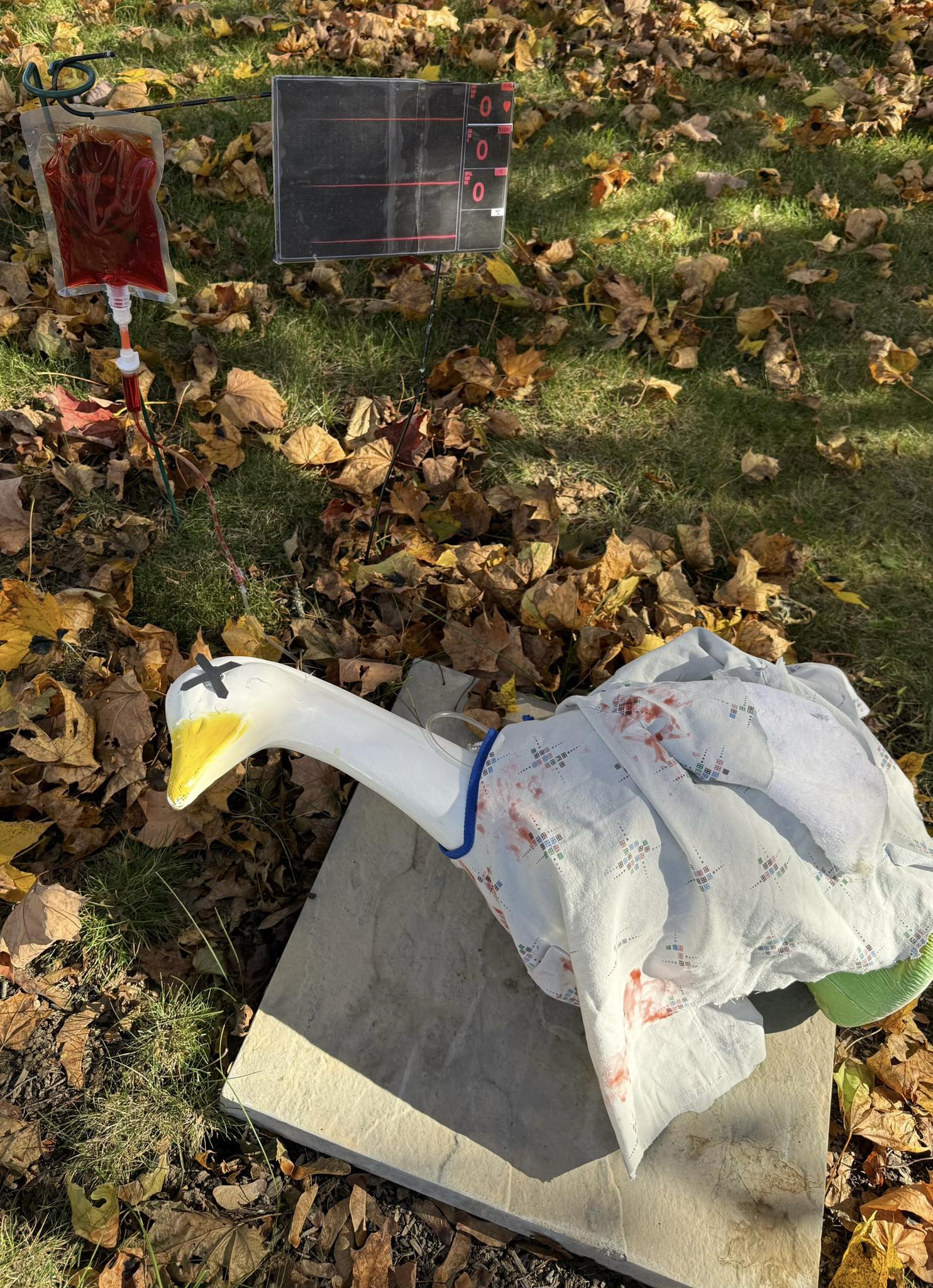 The Porch Goose Club of America | Hello, I bought my mom a portch goose ...