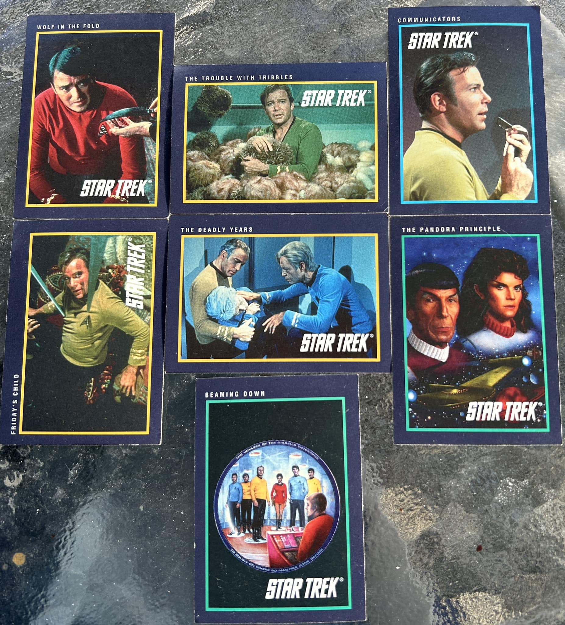 1991-1993 Star Trek trading card sets with signed cards display picture 1