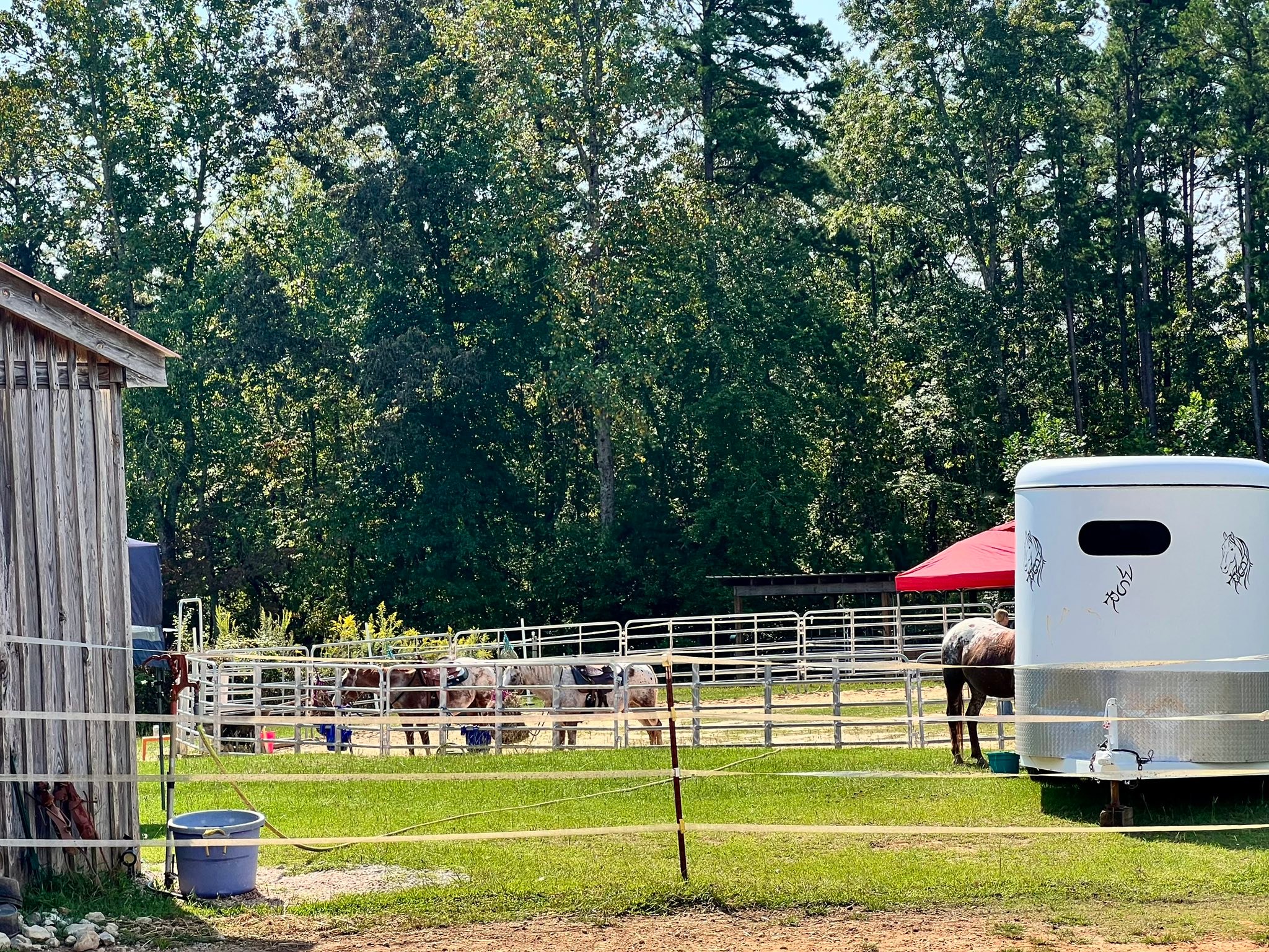 Winning Spirit Ranch Tamassee, SC | Tamassee SC