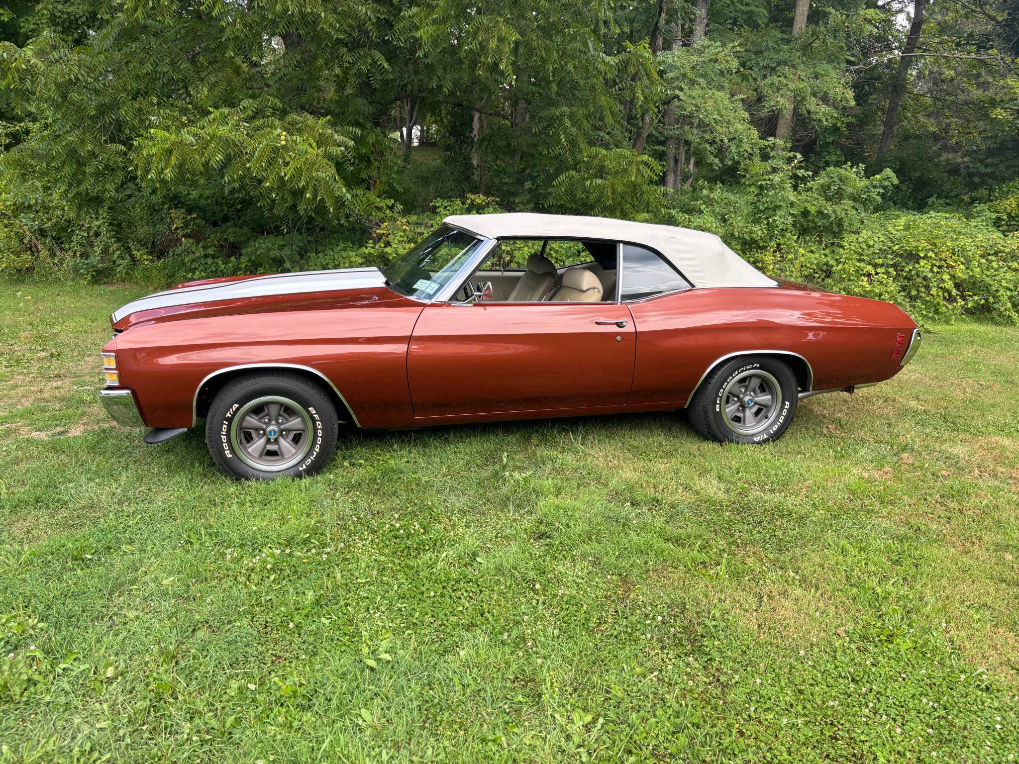 1971 Chevrolet Chevelle - Cars & Trucks - Lagrangeville, New York