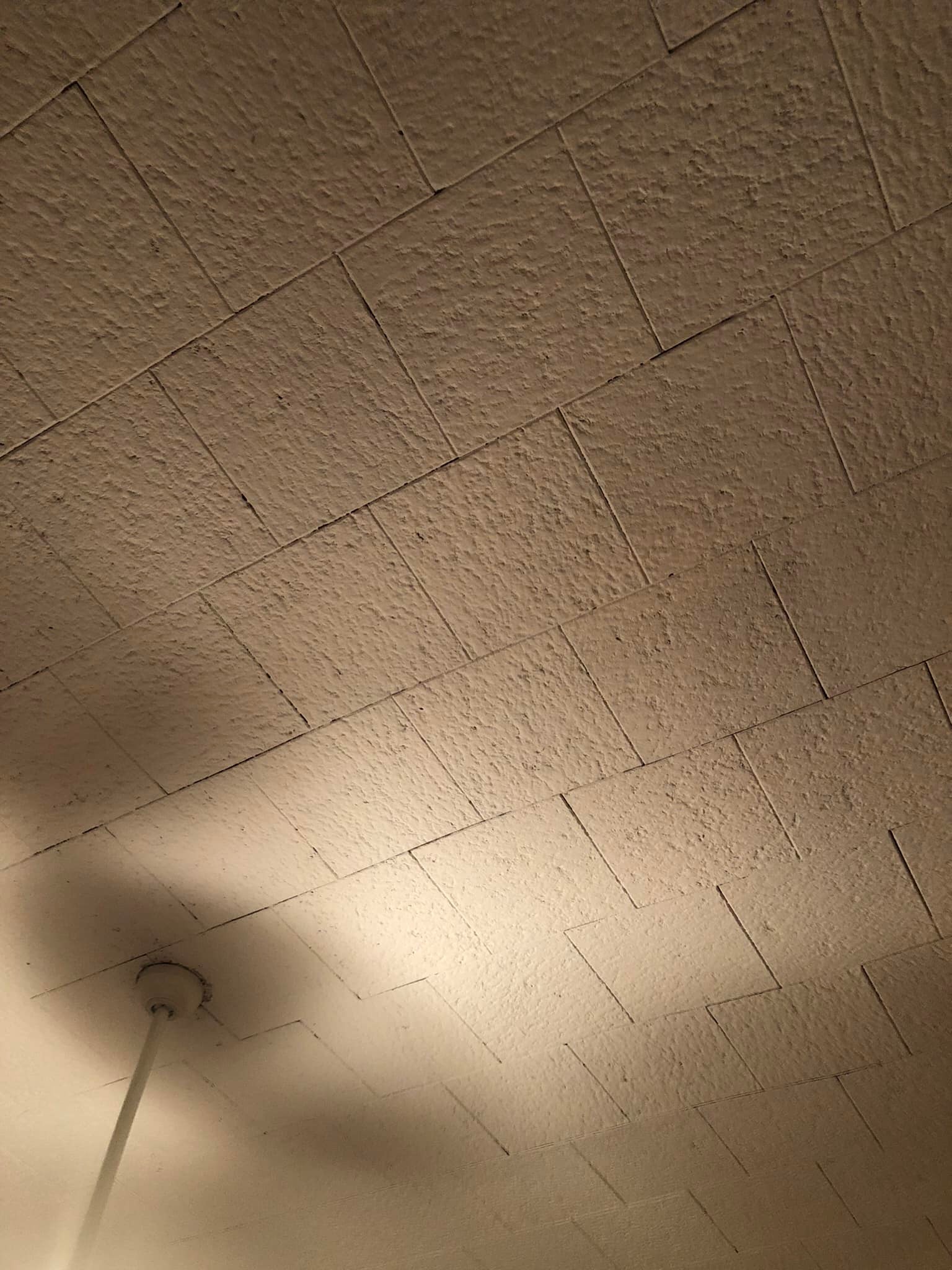 Brown Toledo Style Ceiling Tiles - 20x20 Glue Up Styrofoam DIY Decorative Panels