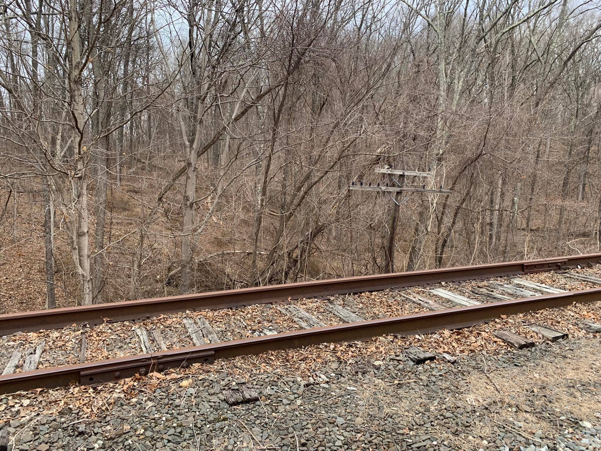 Abandoned Rails | Old Maybrook line in Dutchess county NY | Facebook
