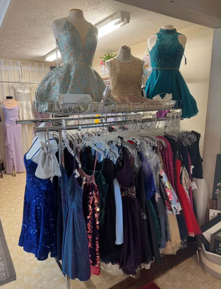 Best places to shop for homecoming dresses central to northeast ohio ..thanks!
