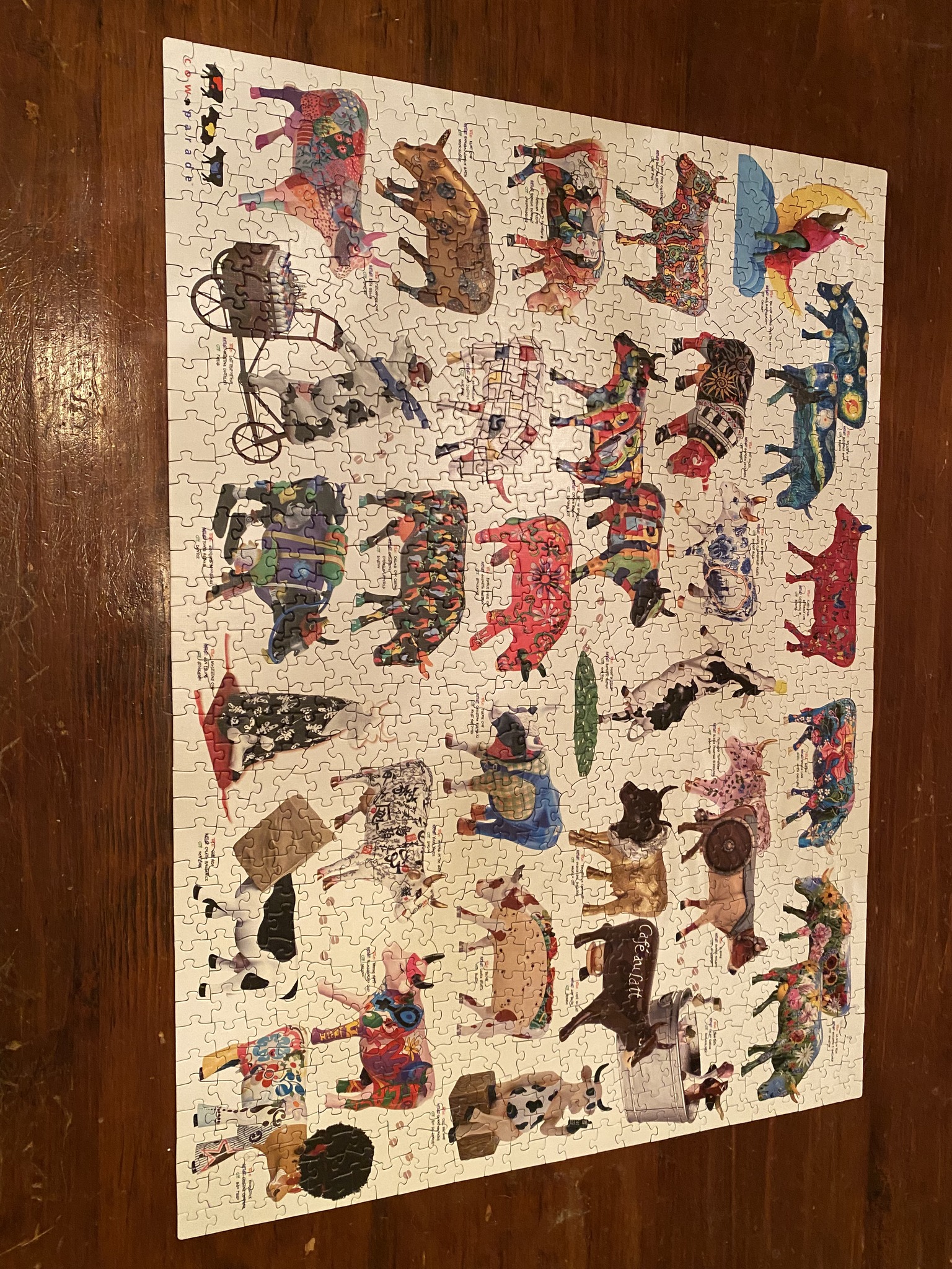 Carnovsky ocean jigsaw puzzle review