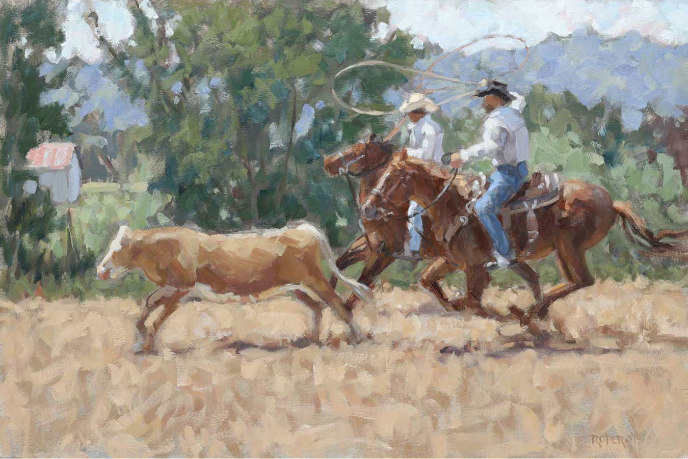 Stuart Roper