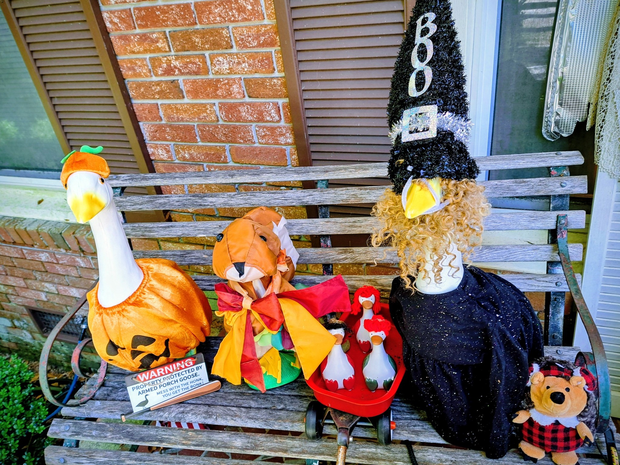 The Porch Goose Club of America | My arthritis has kept me down but ...