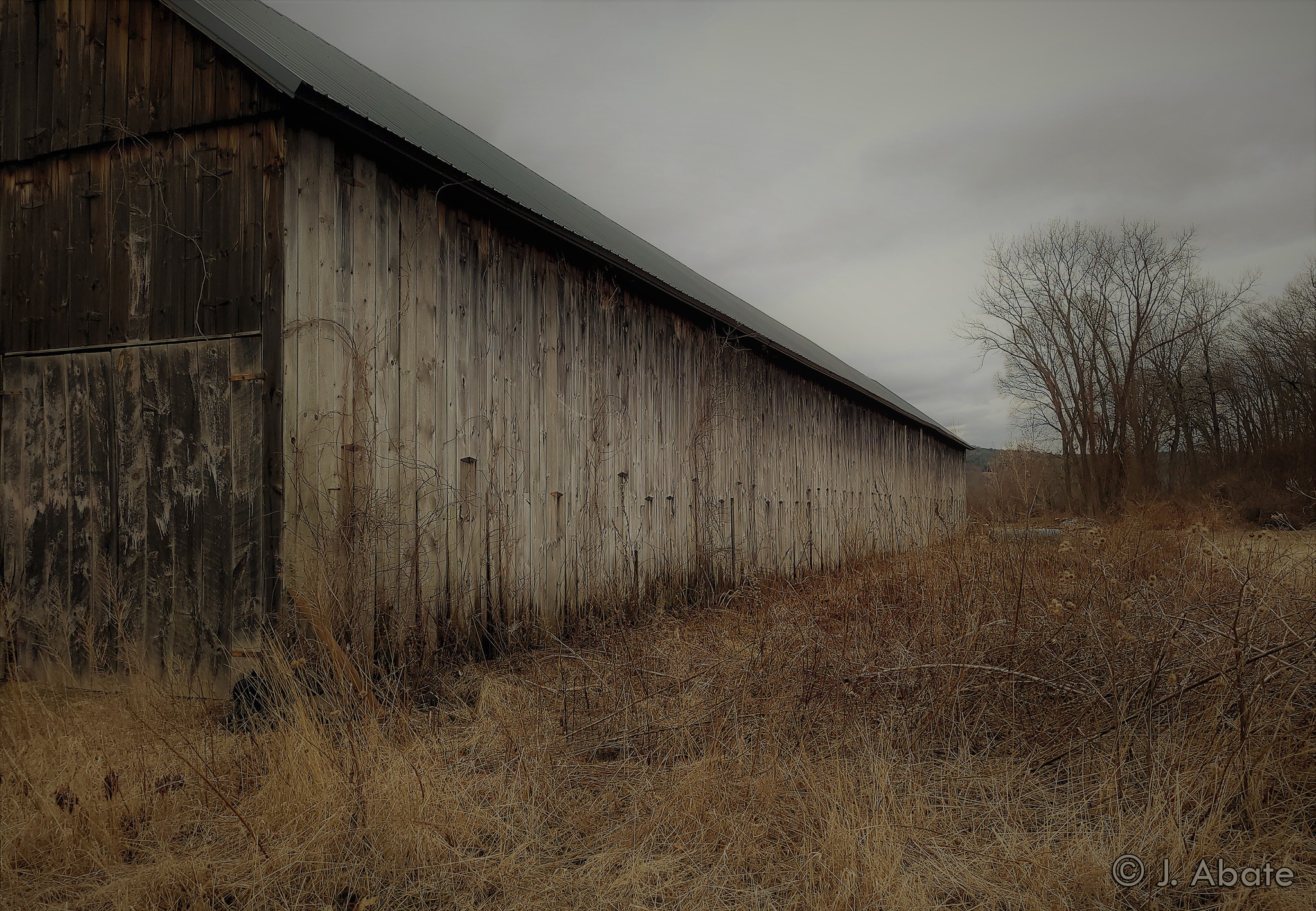 I love Hadley, MA! These old tobacco barns are such a wonderful subject!