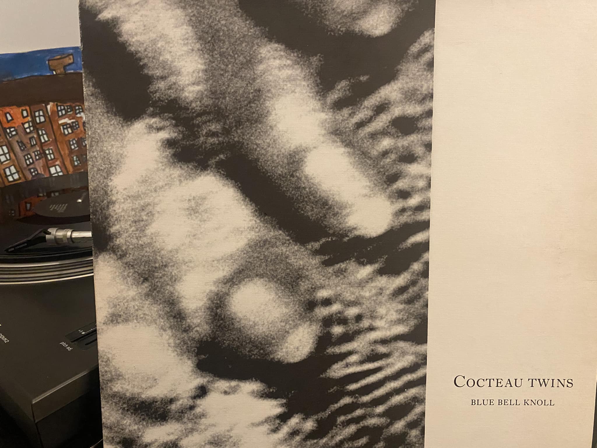 Bluebell Knoll ' — Cocteau Twins