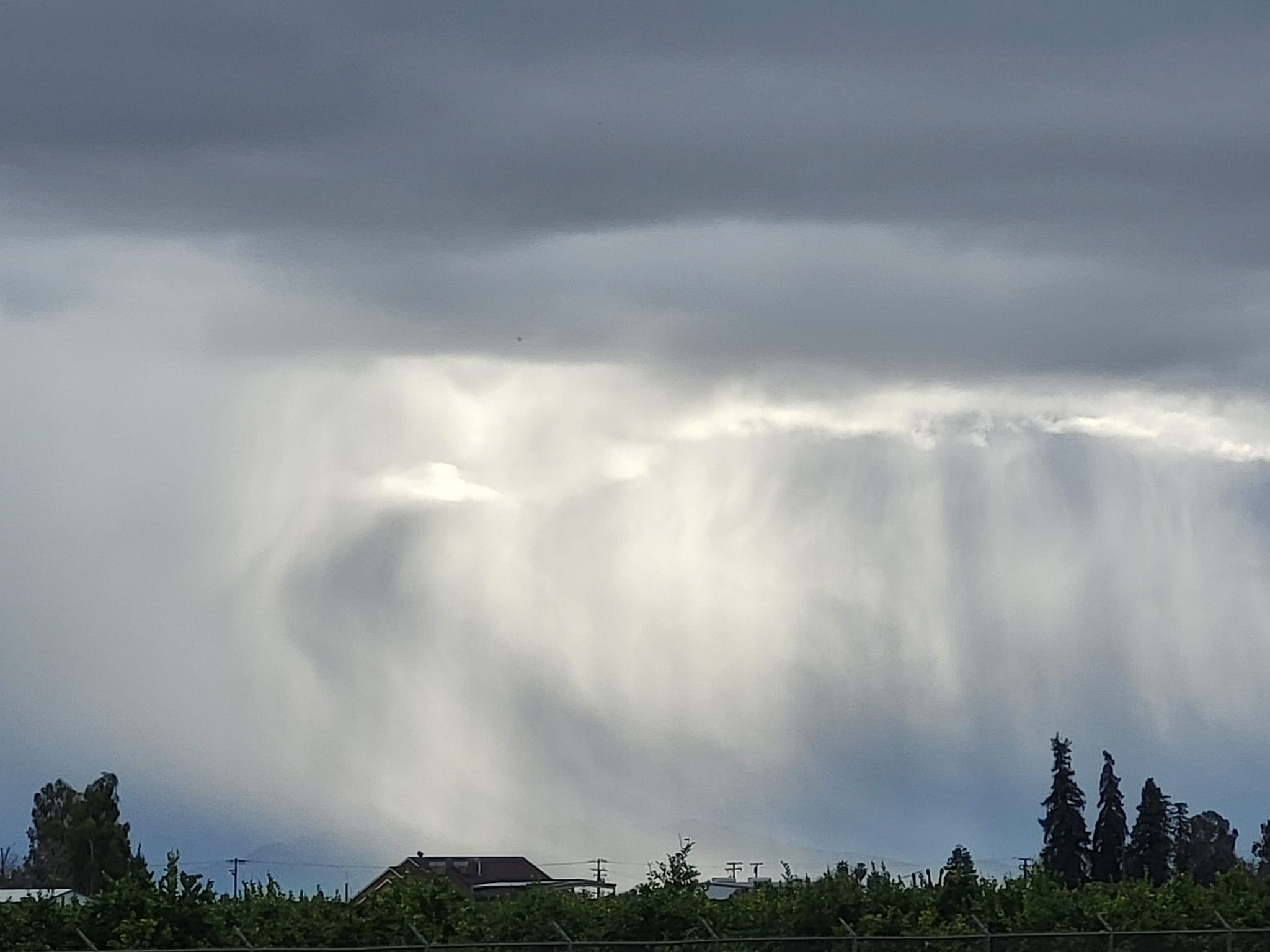 Week after rain and sunshine, Tulare California.