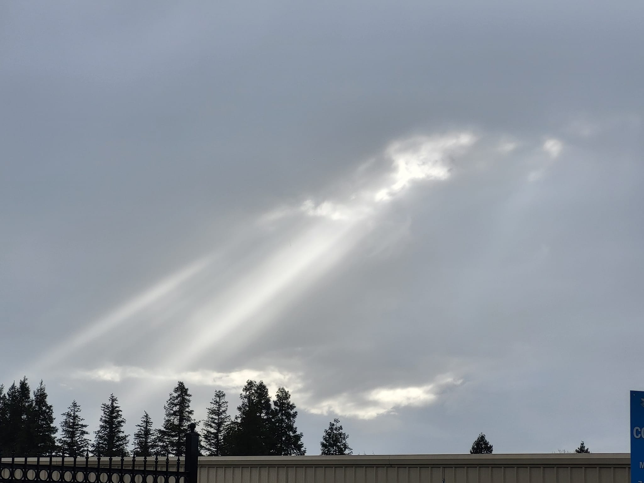 Week after rain and sunshine, Tulare California.