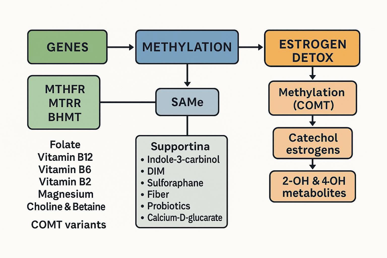 CATECHOL-O-METHYLTRANSFERASE [COMT] COMT is involved in the inactivation of: 1. Dopamine 2. Norepinephrine 3. Estrogen 4. Toxic metal removal…especially Lead 5. Red and purple dye [phenol] If COMT is slow this will