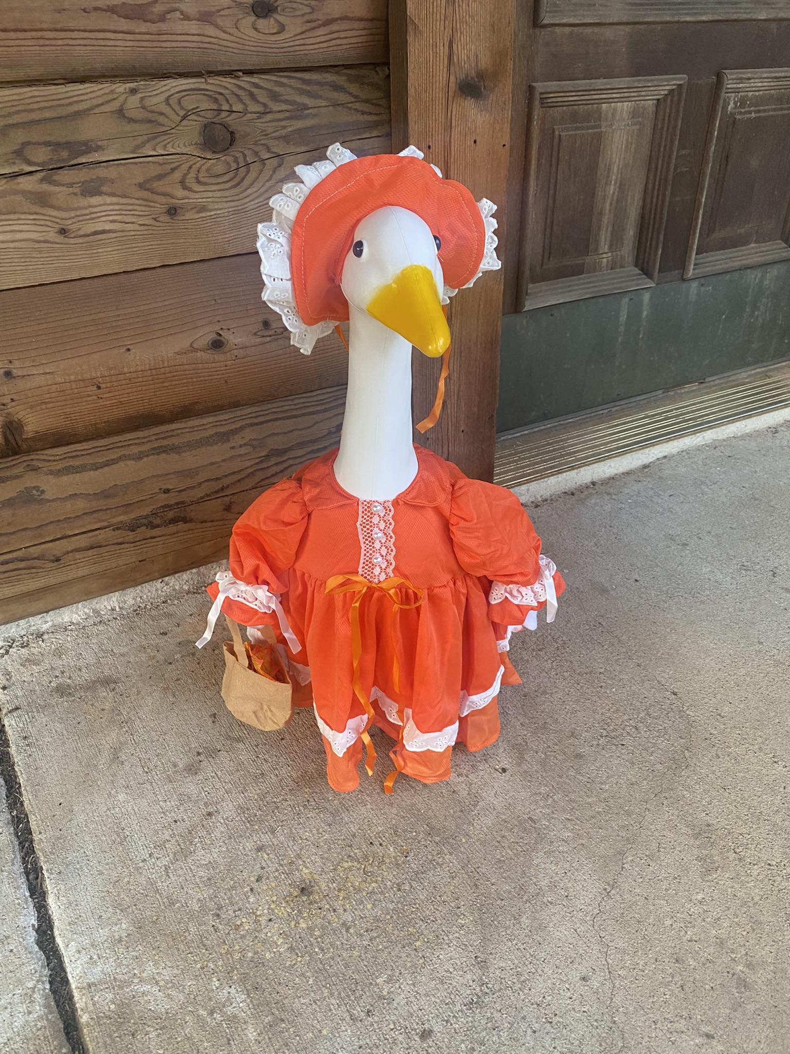 The Porch Goose Club of America | I finally joined the porch goose club ...