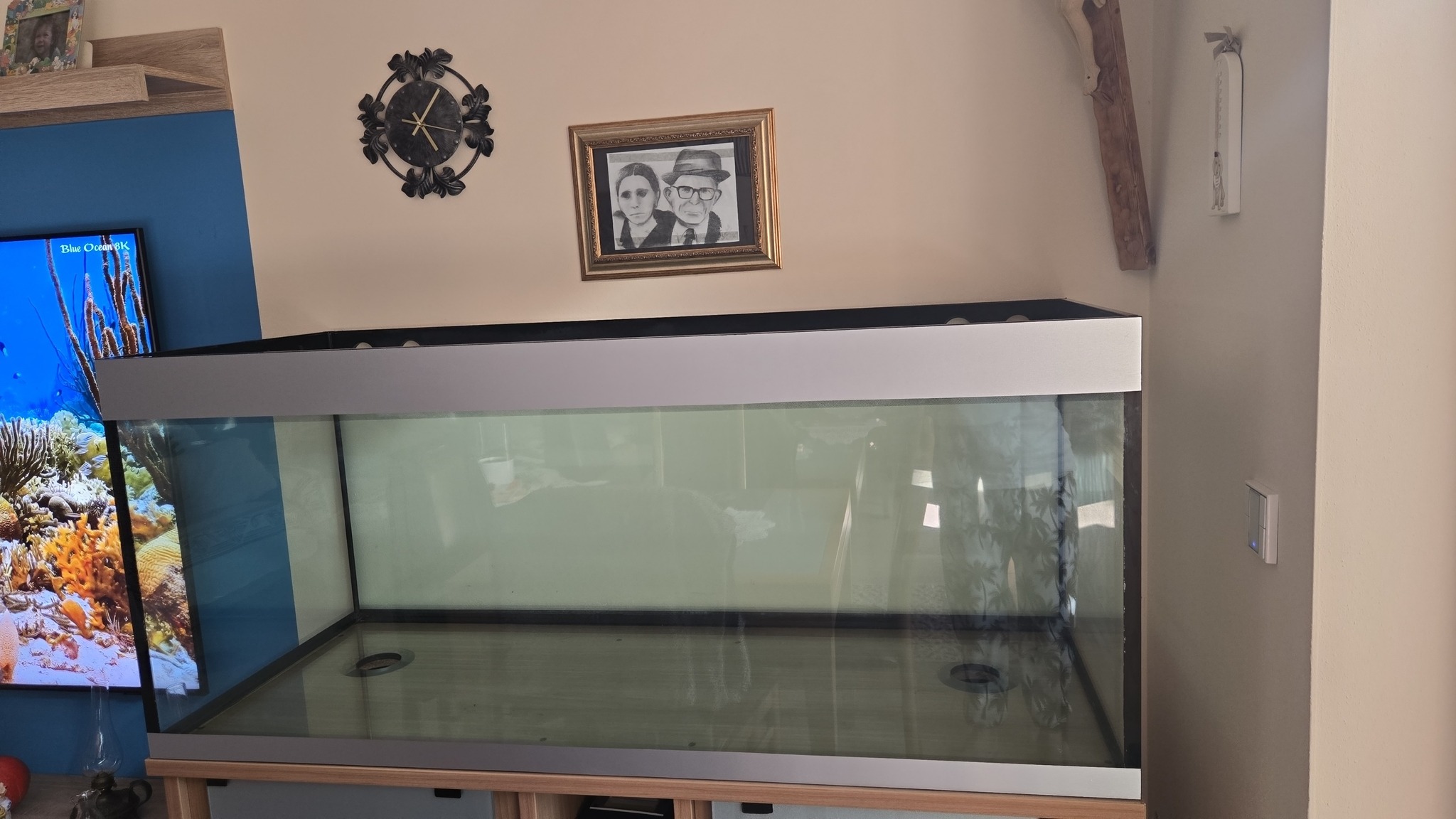 ACQUARIO CHE PASSIONE | Sto per avviare il mio 500 litri...ho 4 ...
