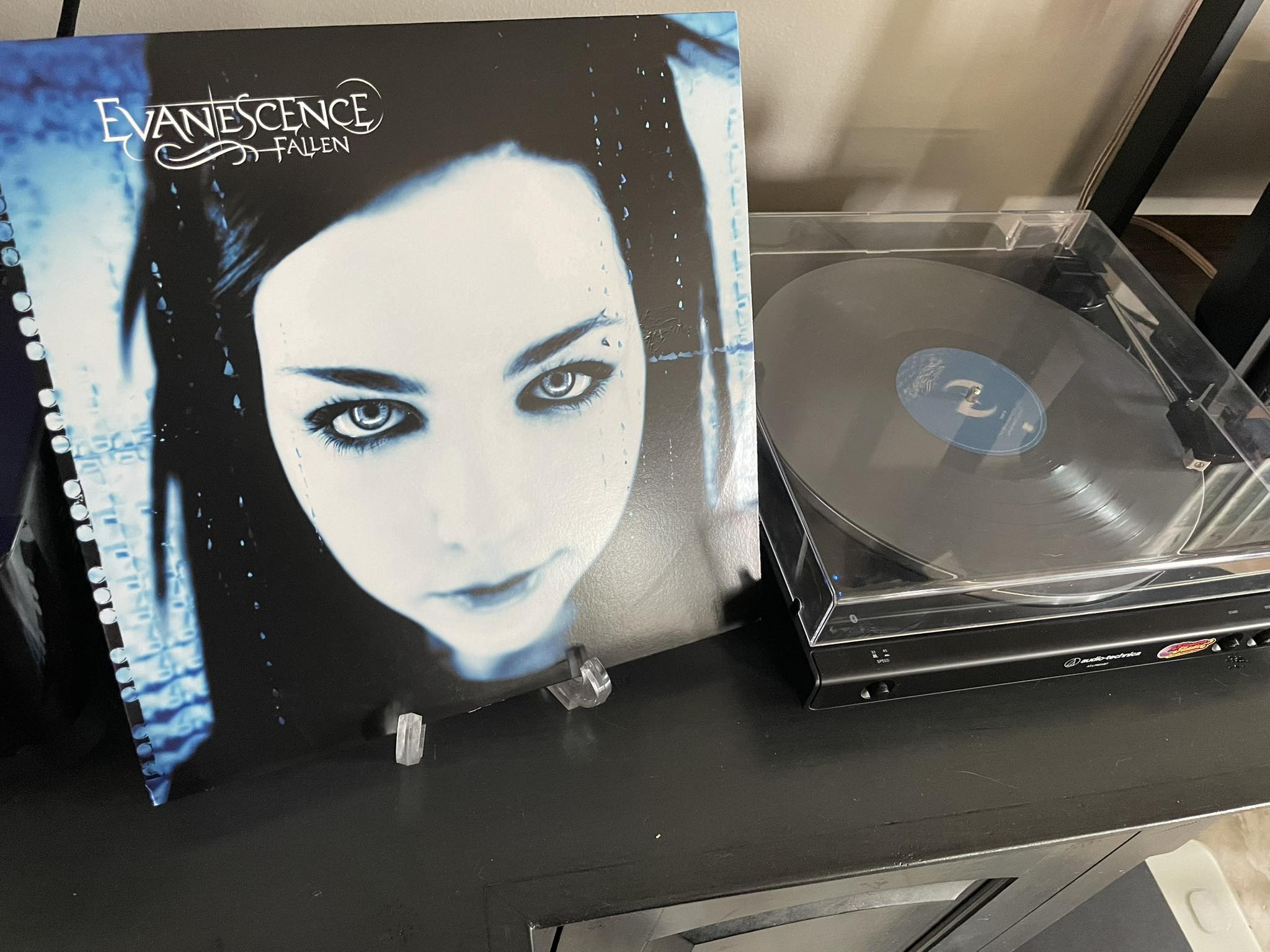 Evanescence Edition 10th LP 洋楽 Anniversary