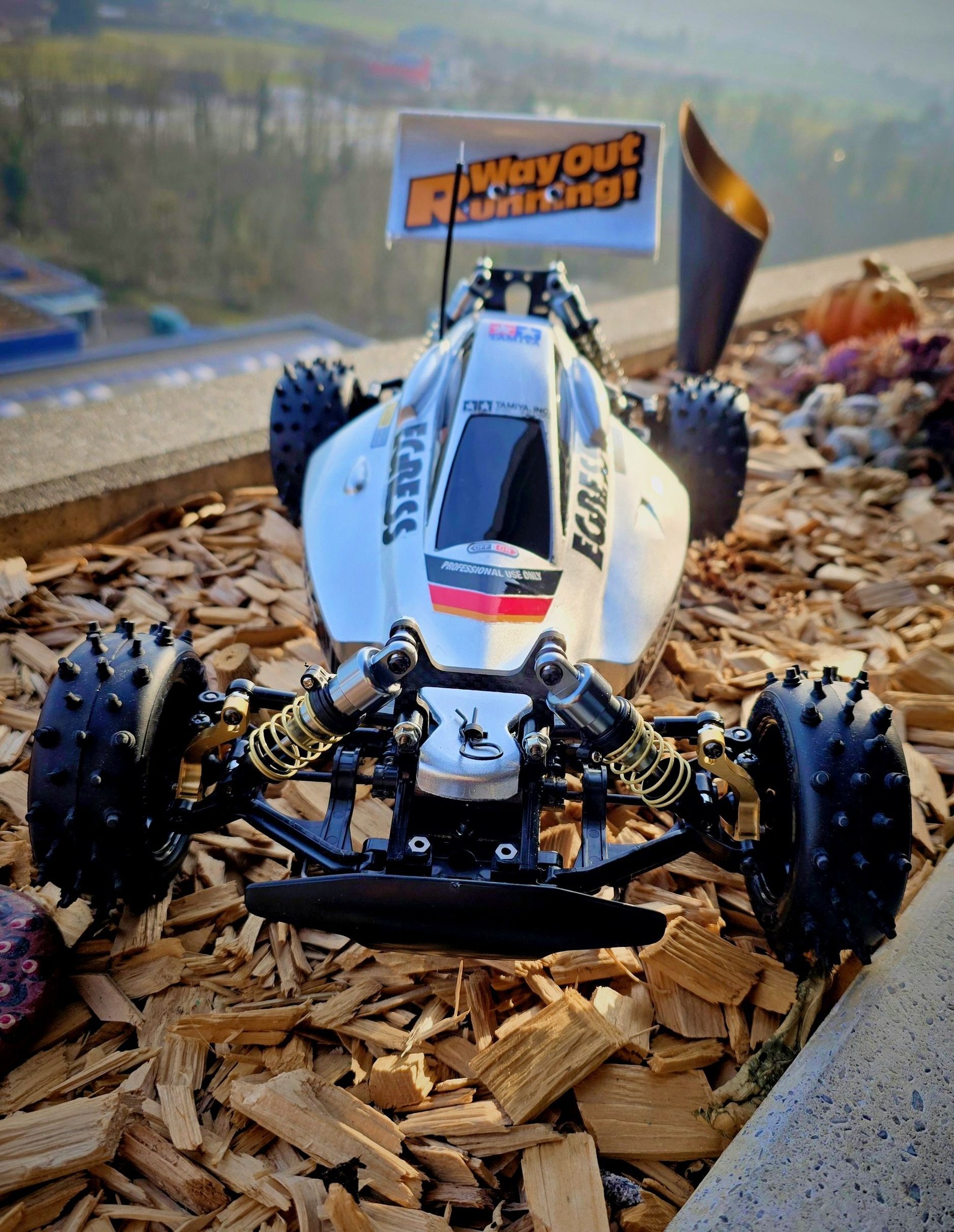 MY New Tamiya Egress 2013💪👍