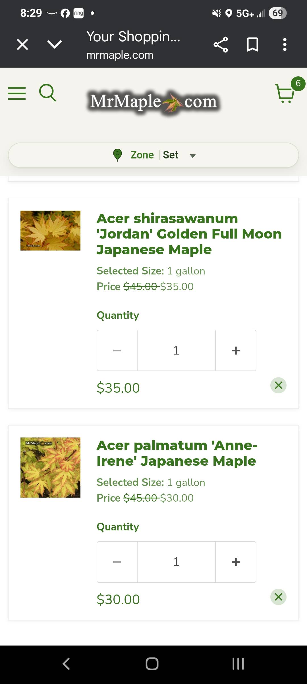 Japanese maple recommendations for Saint Louis MO
