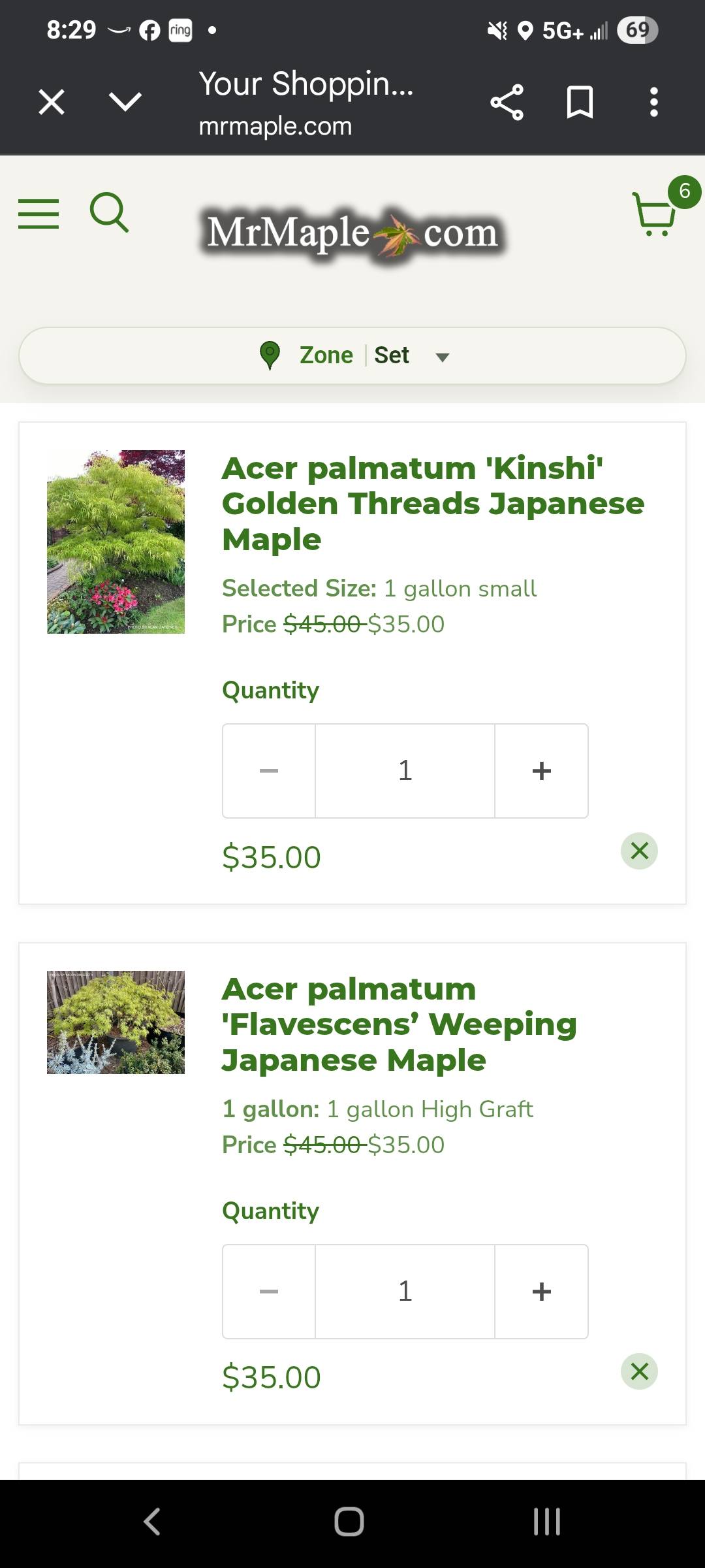 Japanese maple recommendations for Saint Louis MO