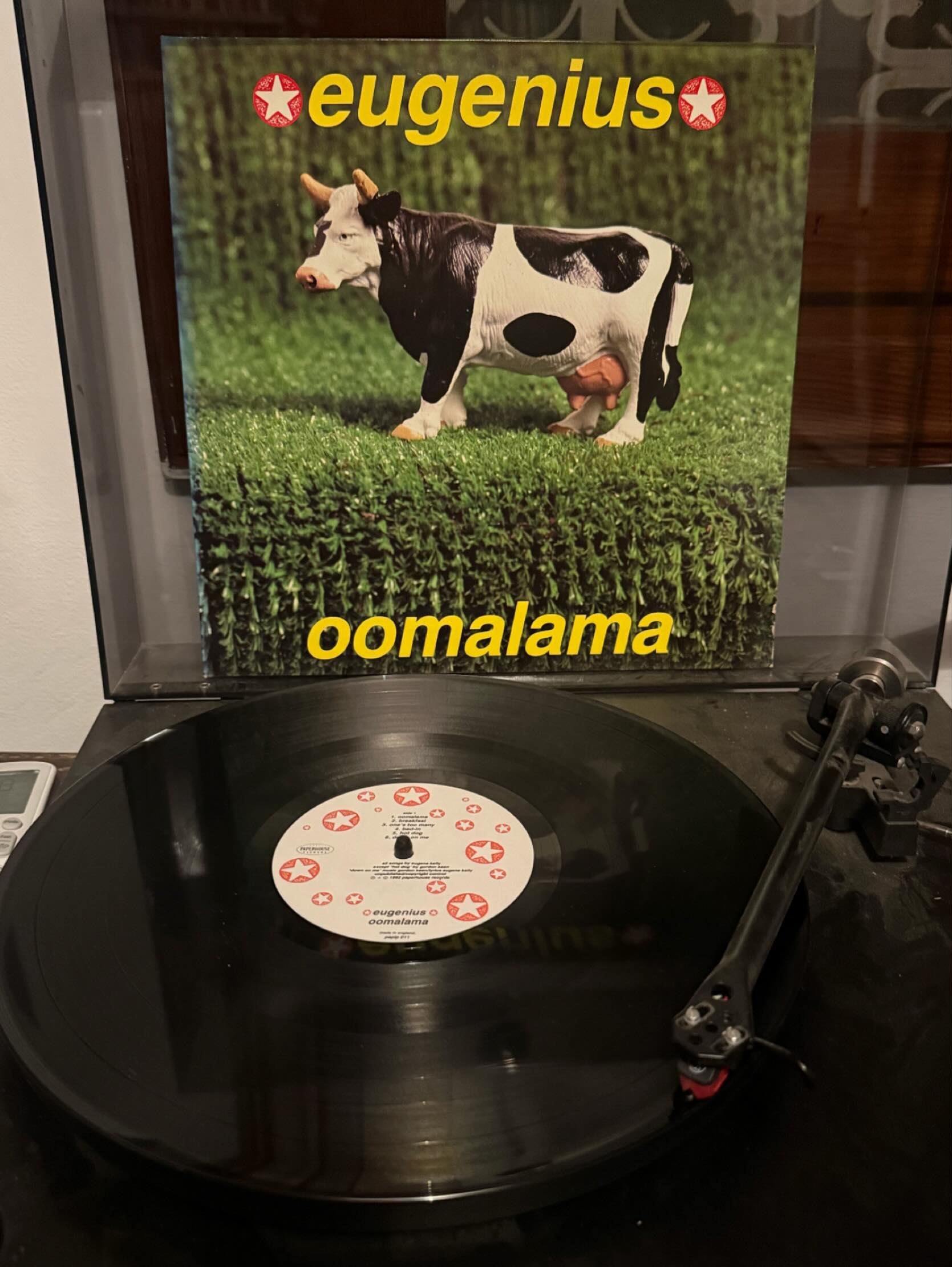 The Vaselines split in 1989 but a few years later were being 