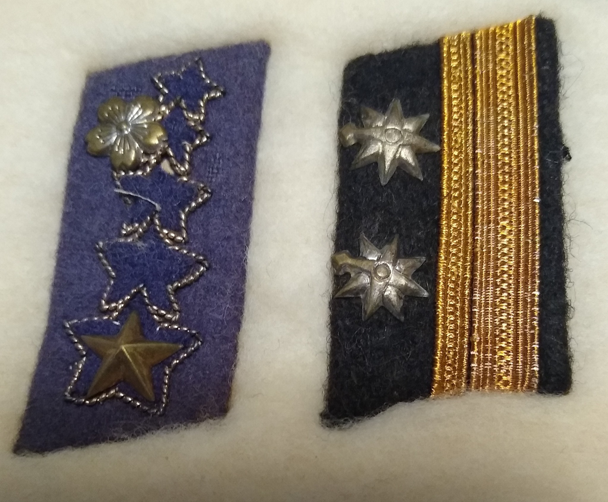Can anyone tell me about these Japanese collar insignia? Any help