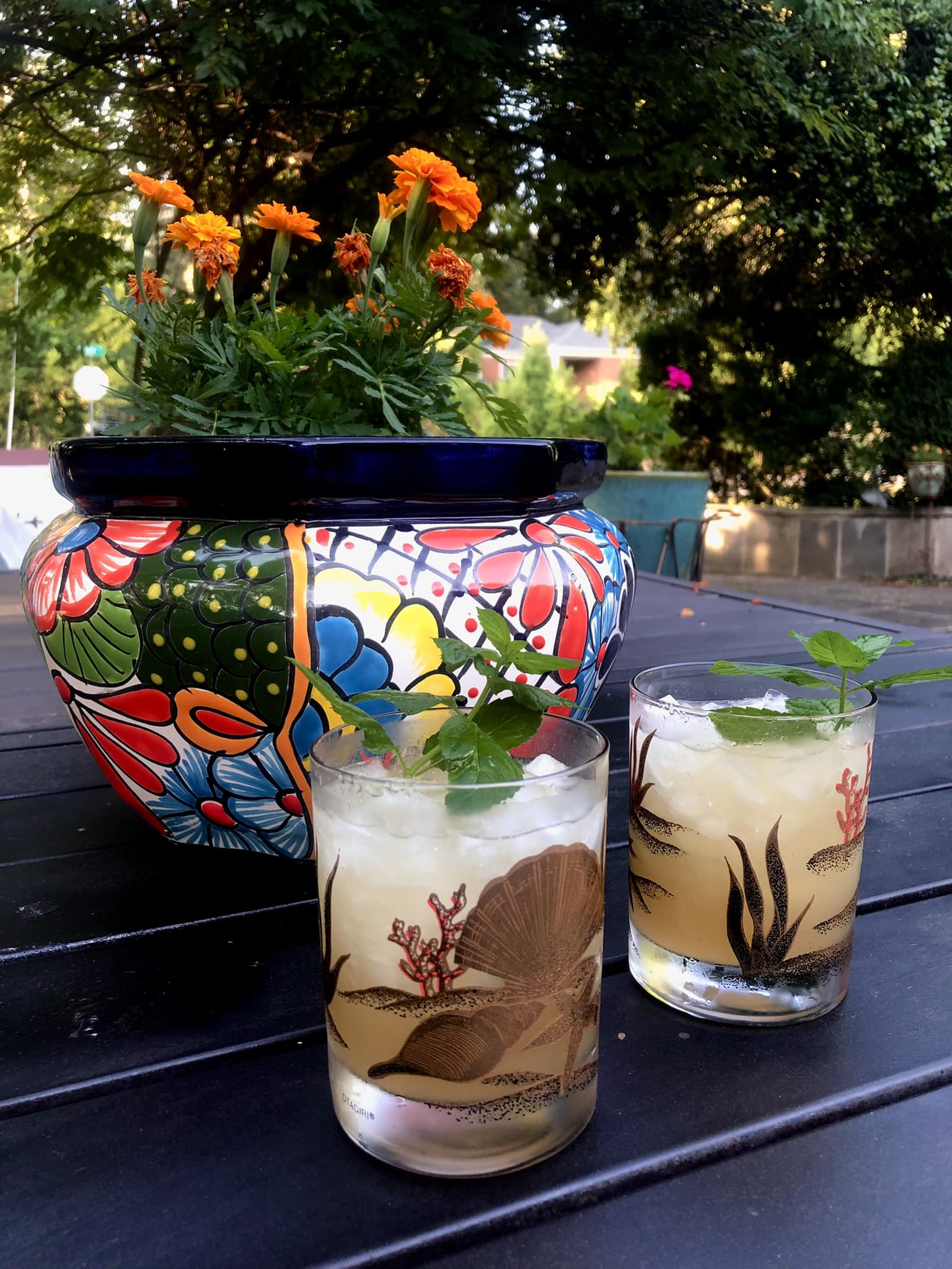 Todays find. Enjoying with a Mai tai