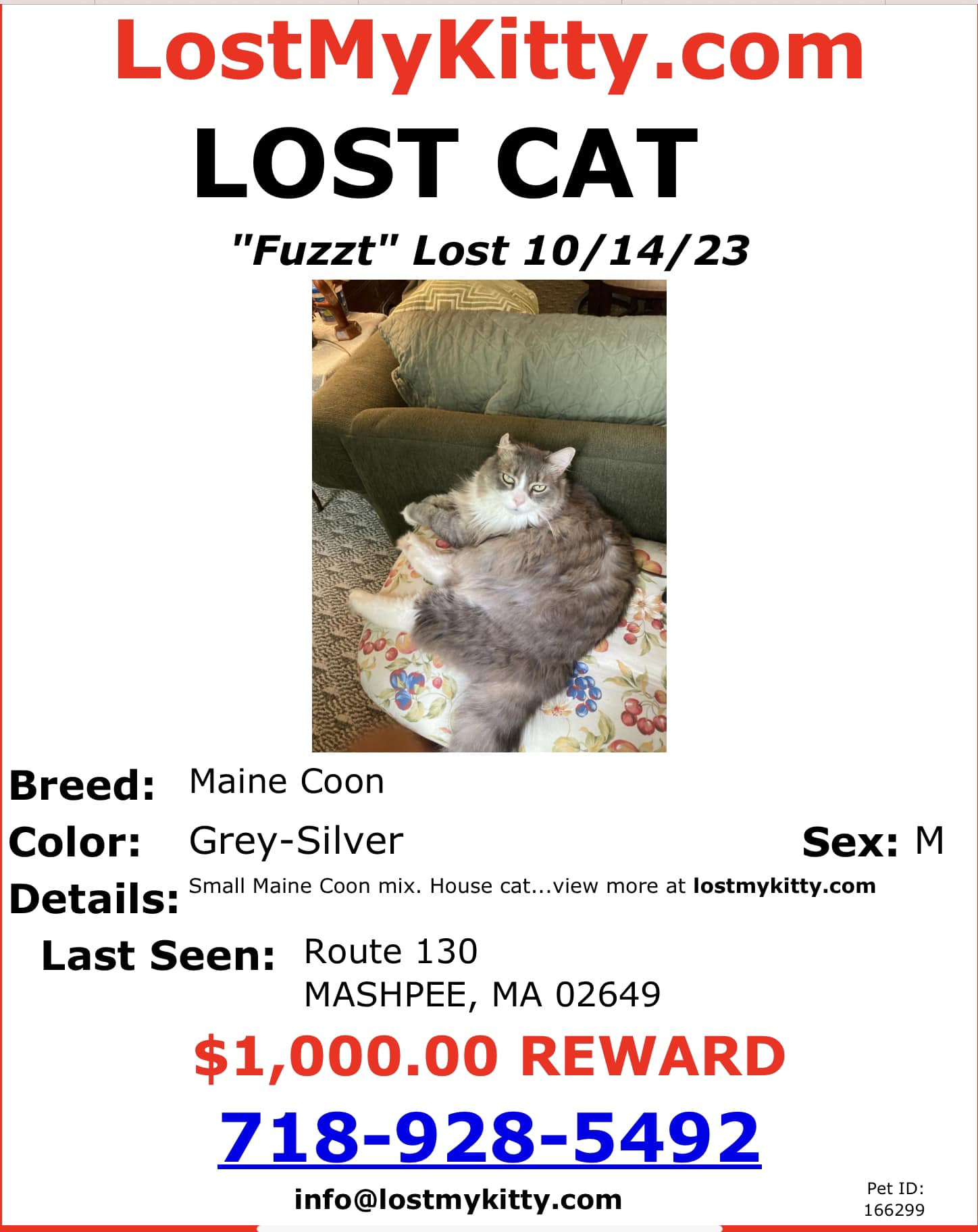 Not sure if last post went through. My cat went missing from 7 