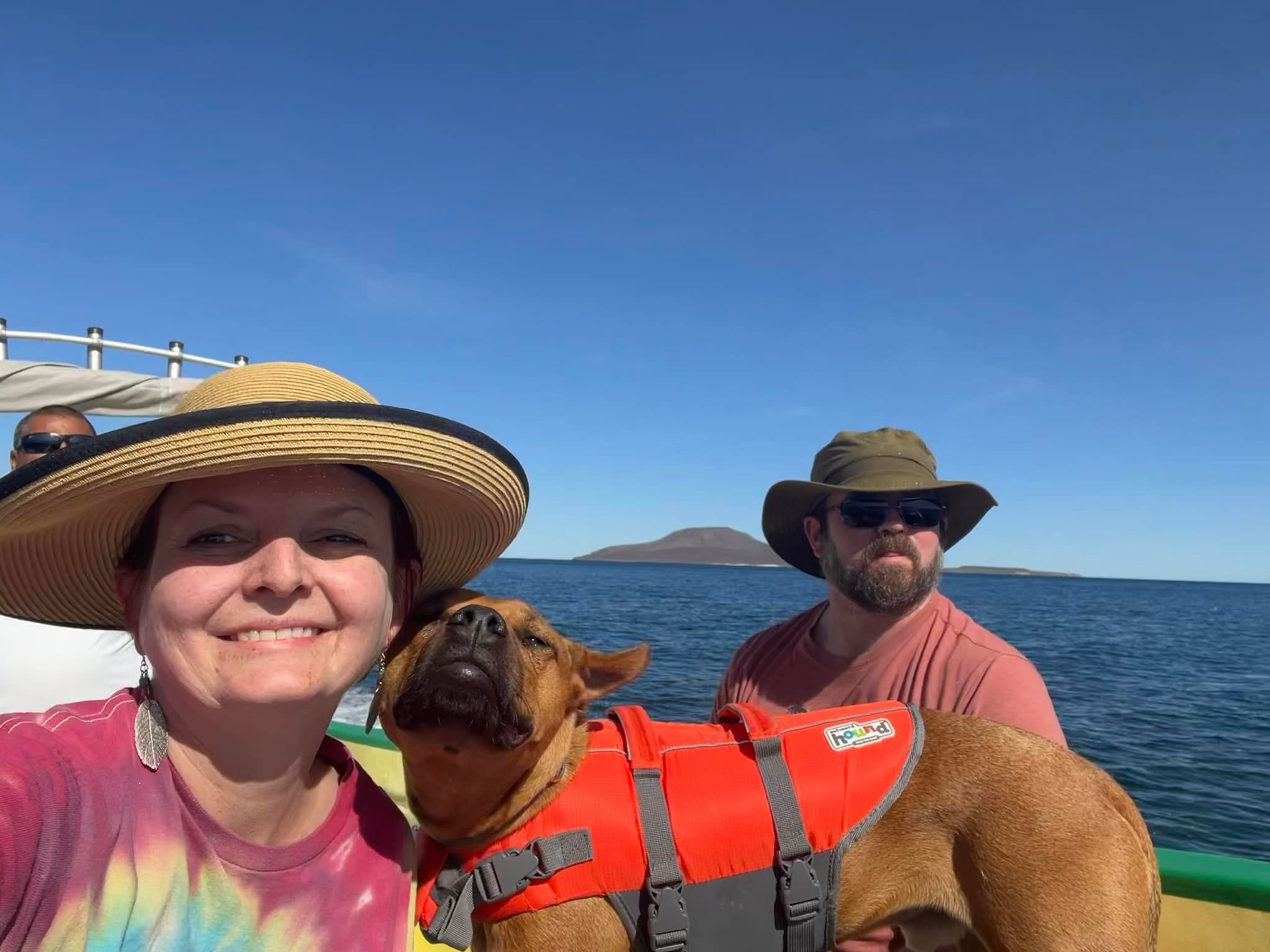 ペットと散歩 What are dog-friendly routes and activities near Utah's Mighty 5?