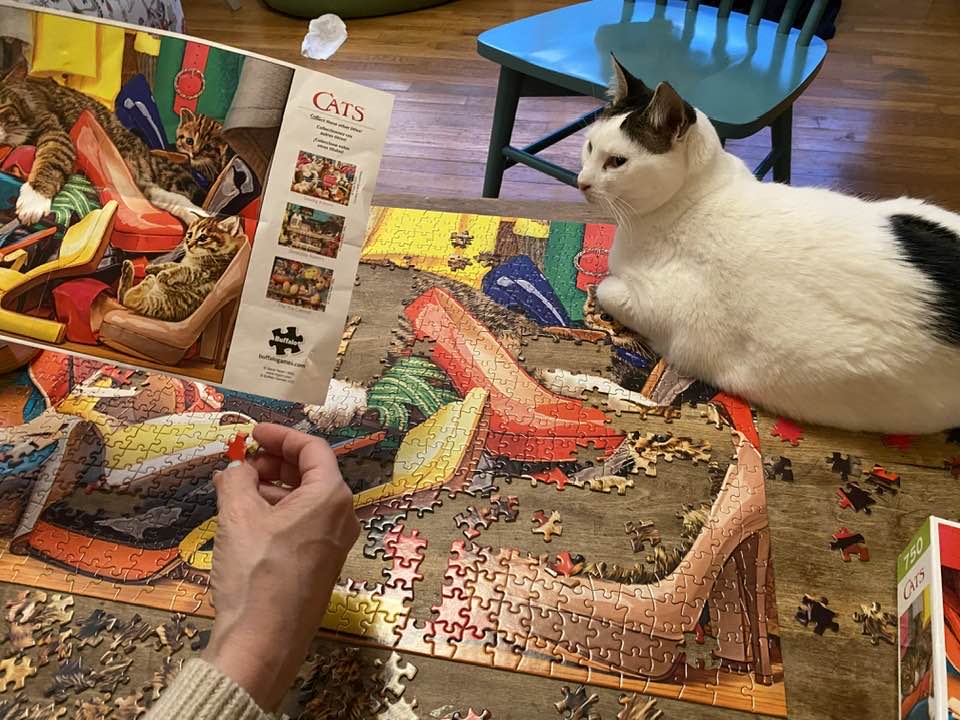Collecting Makoto Muramatsu cat art puzzles for 30 years