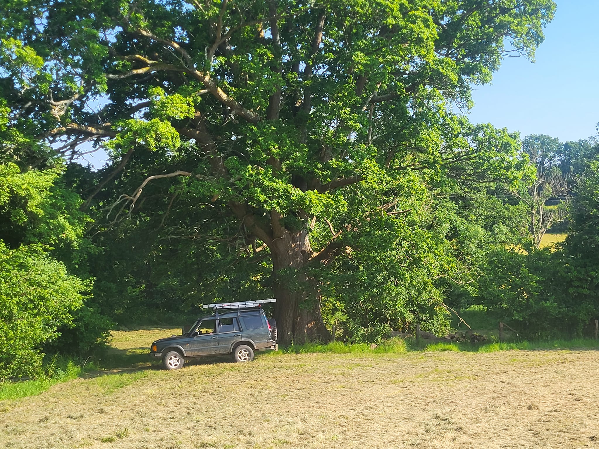 Big Tree Seekers | The next big preservation project has arrived | Facebook