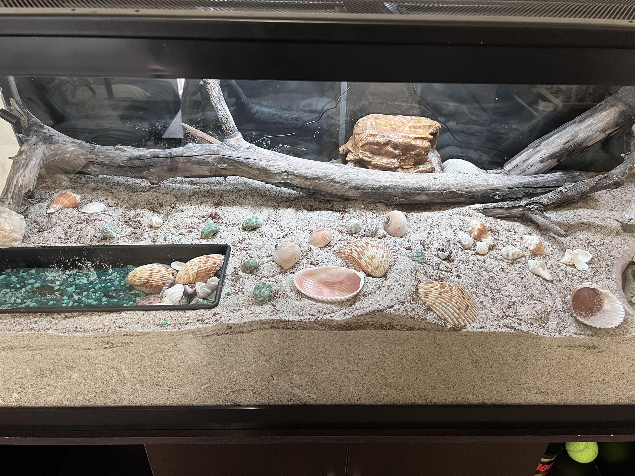 Fish Cave Coconut Shell Hideout Cave For Axolotls - 5x3 Inch Aquatic ...