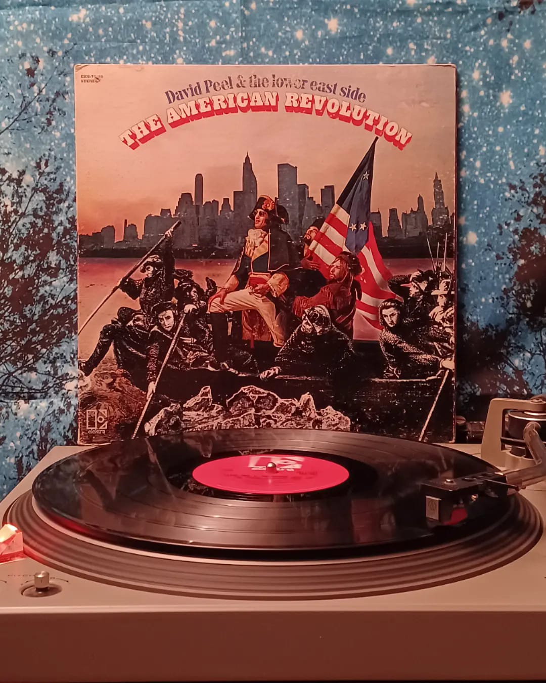 David Peel & the Lower East Side's 1970 album The American Revolution