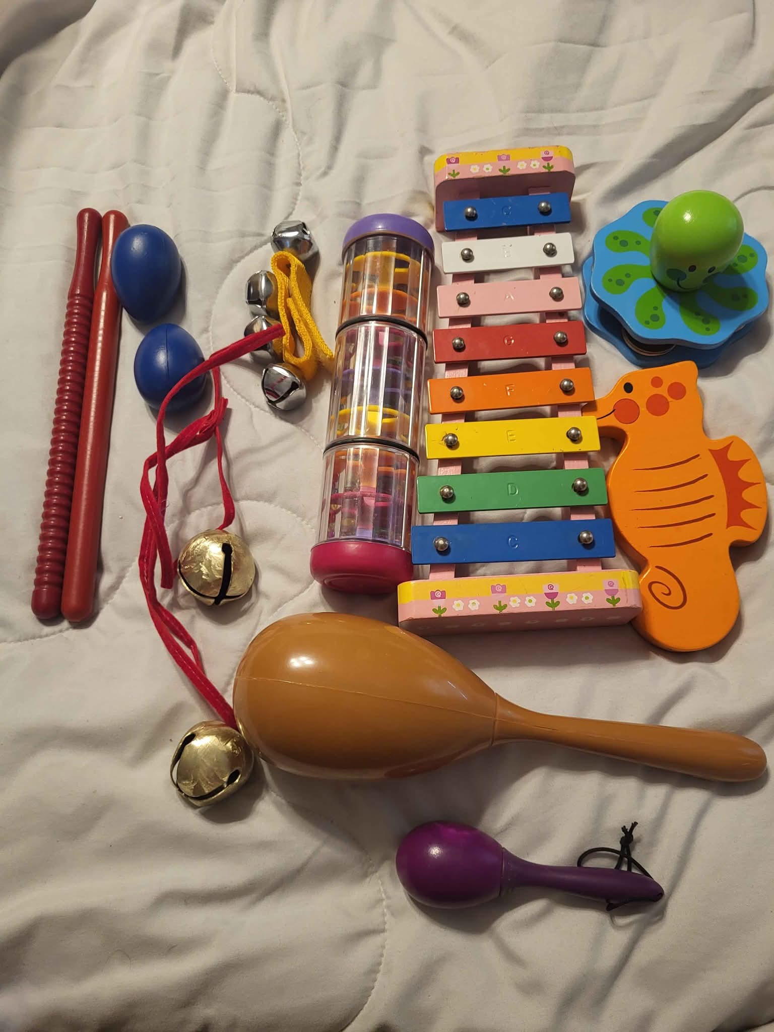 Sparta, NJ Garage Sale | These Children's Assorted Musical Instruments ...