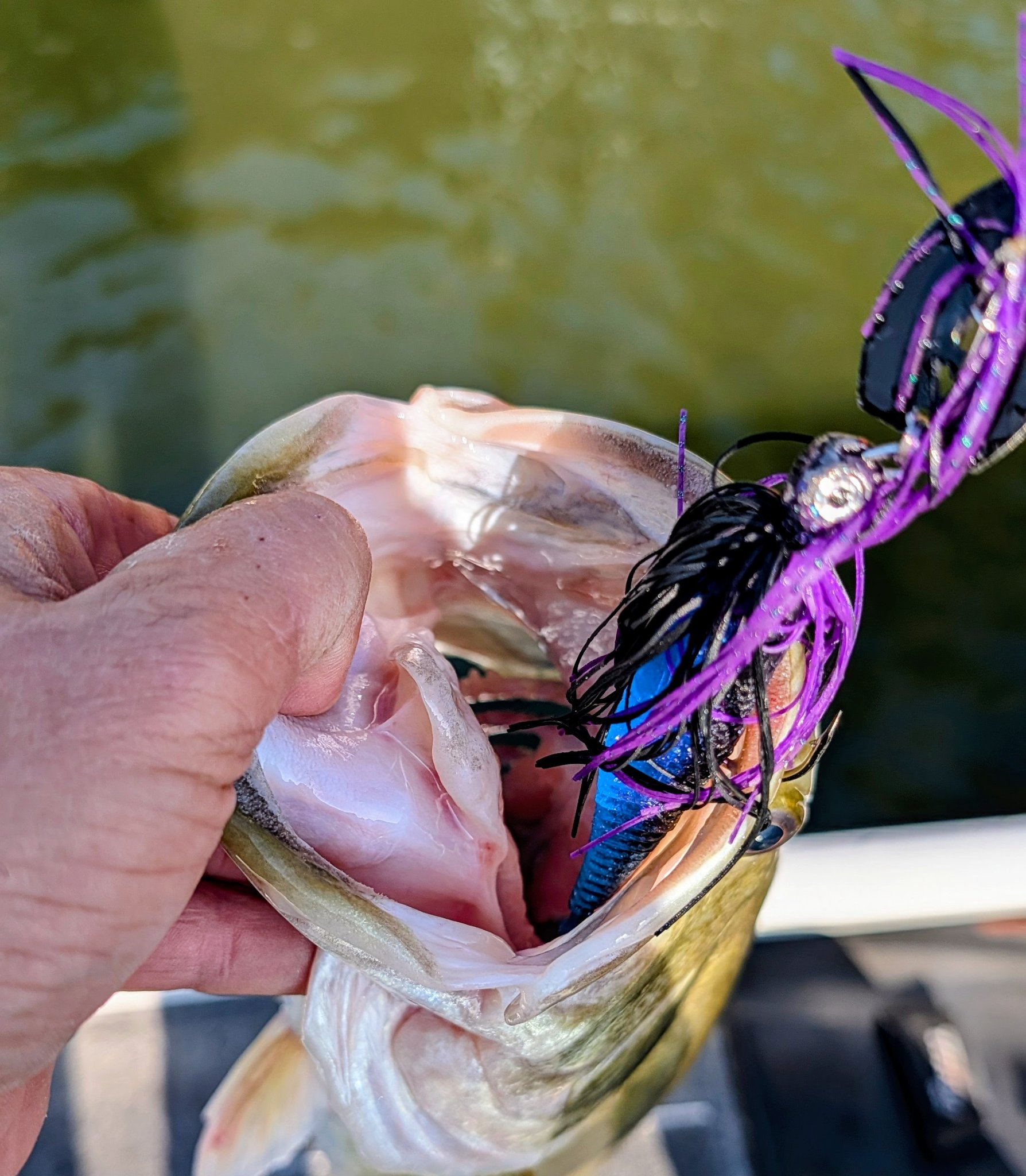 Bass fishing at Lone Star Lake with jigs and crankbait