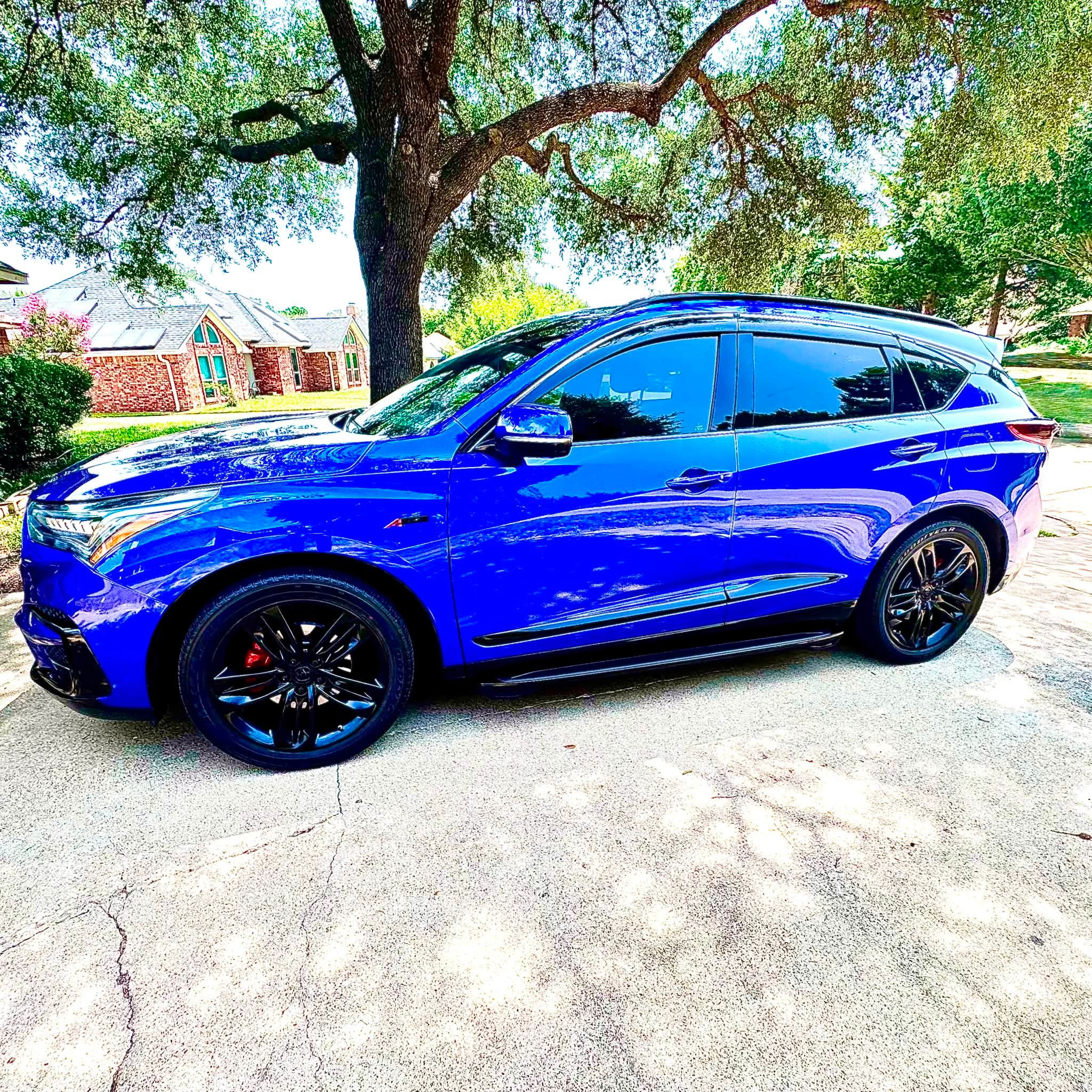 Blue Rose 🌹 2020 Aspec Still in love with her!!!!