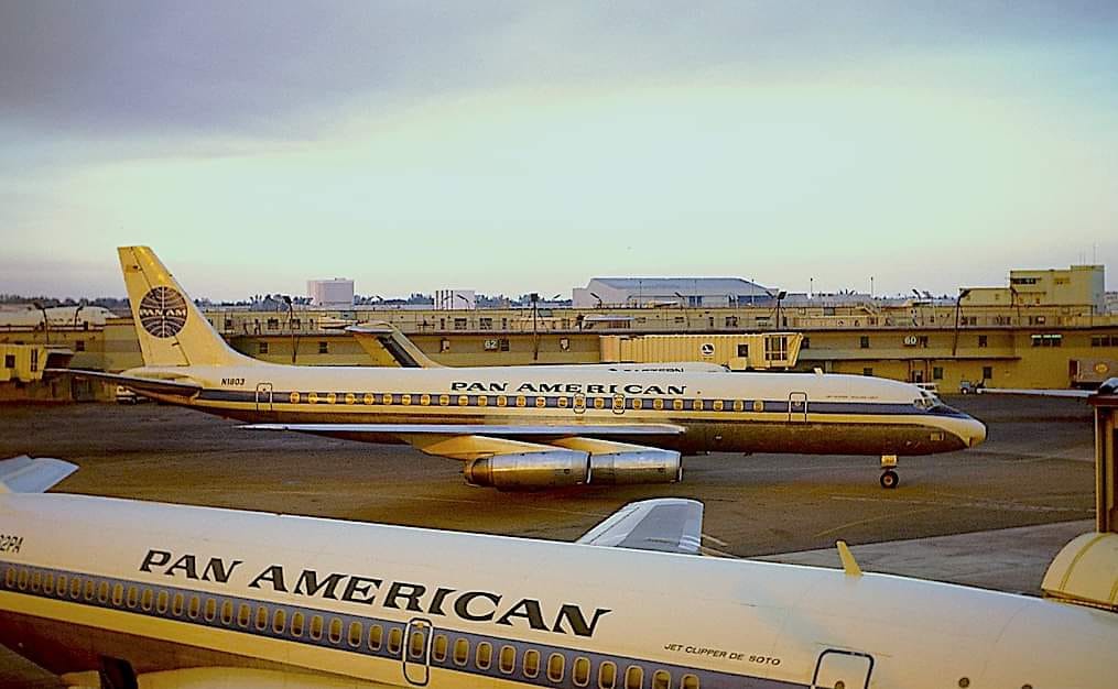 Pan Am DC-8-62 Jet Clipper Golden Light in Miami