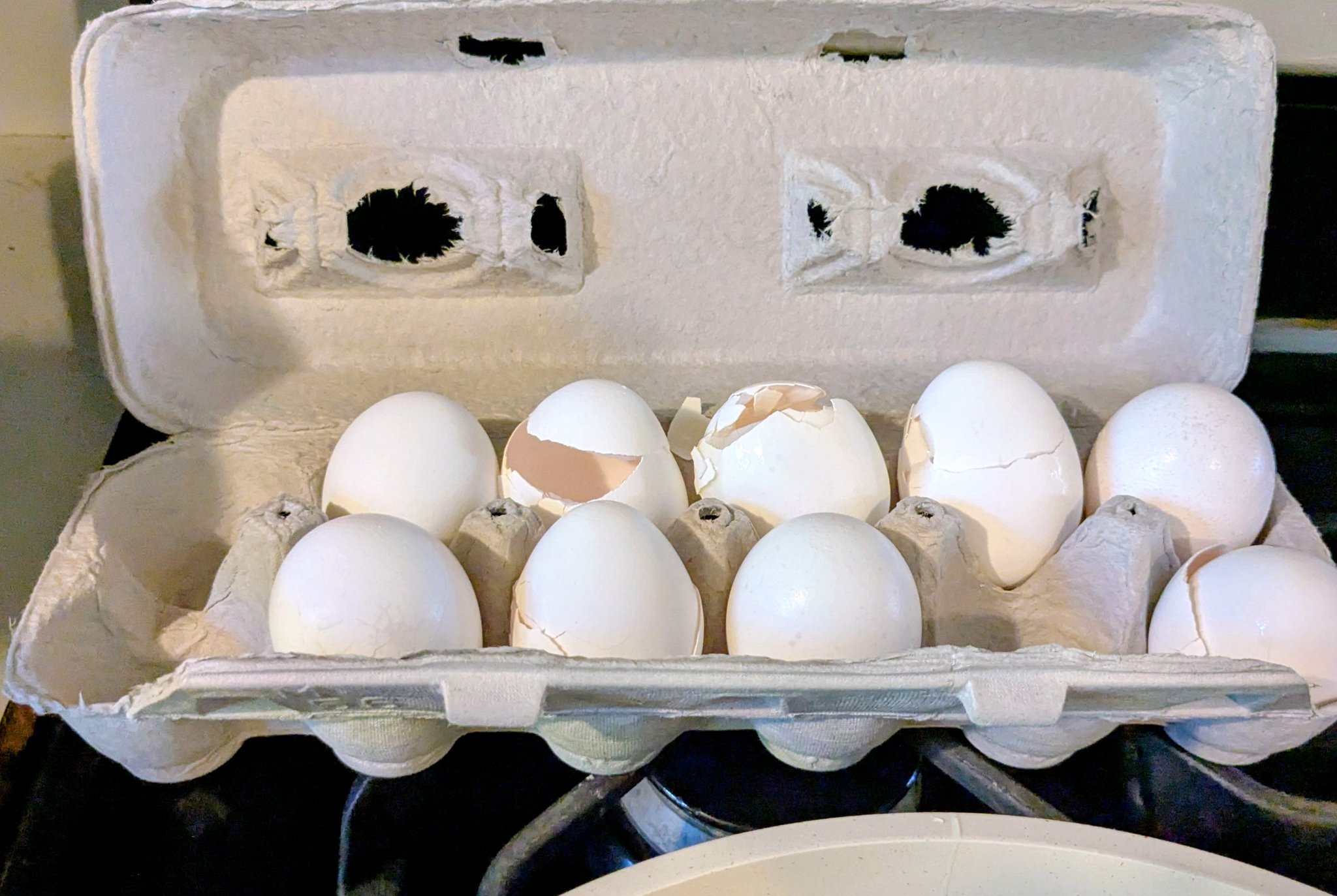 Lacy Craft Let's talk egg shells... Do you put them back... Facebook