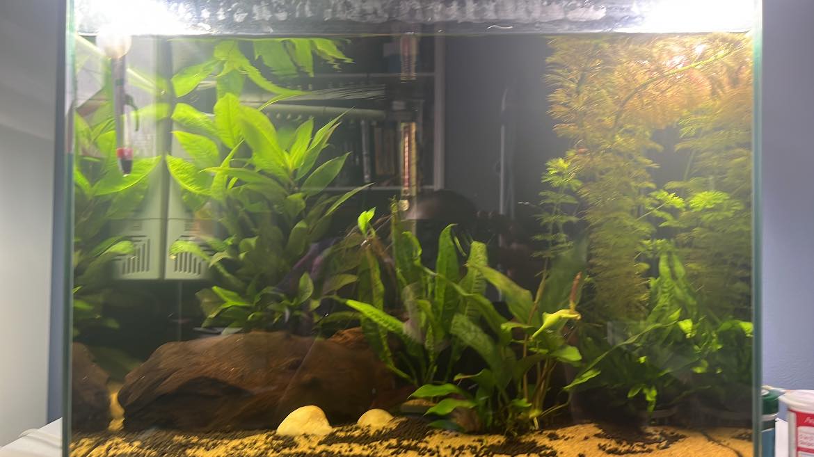 Gallery image with a fresh perspective