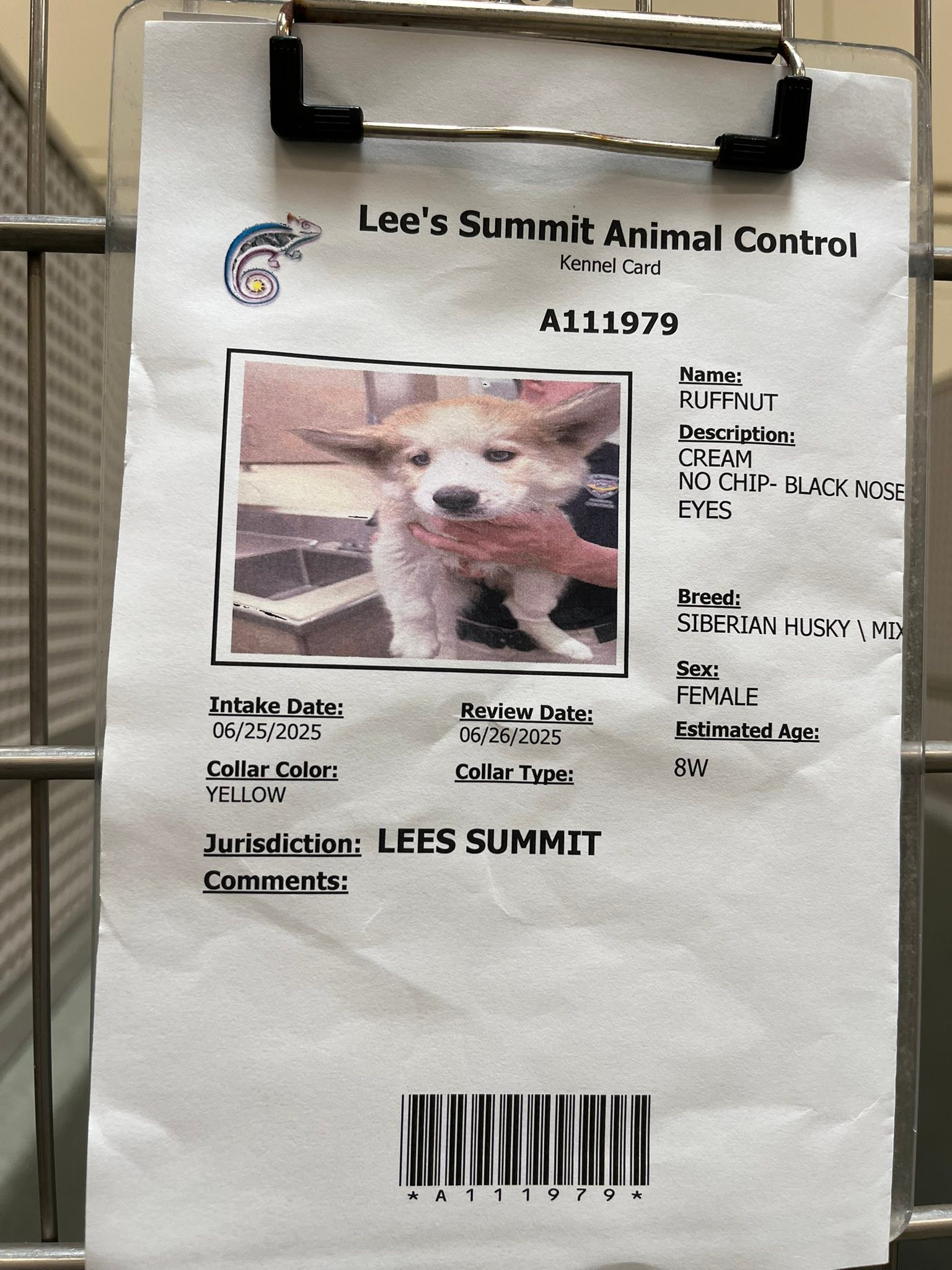 Cool Review About Dog Kennels Lees Summit Mo