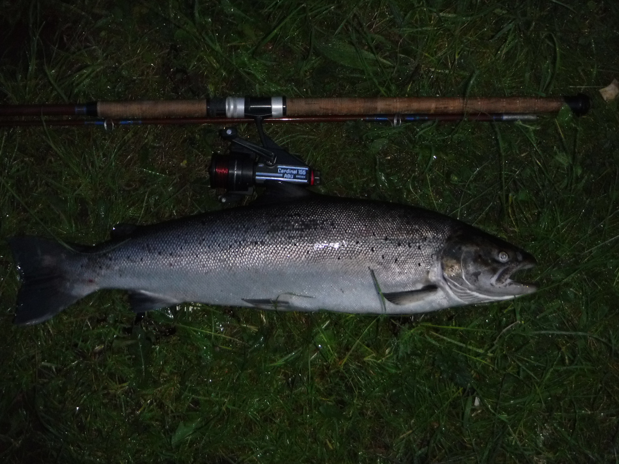 baitcaster.combo Kilitn Fishing Rod and Reel Combo, Baitcasting Combo Baitcast Reel 5 Foot Durable Fiberglass Telescopic Rod with Fishing Line Full Kits Comfortable Handle (Left) : Sports & Outdoors Size:662ML 3000 Tac grip handle for c7000 ABU GARCIA CARDINAL 503