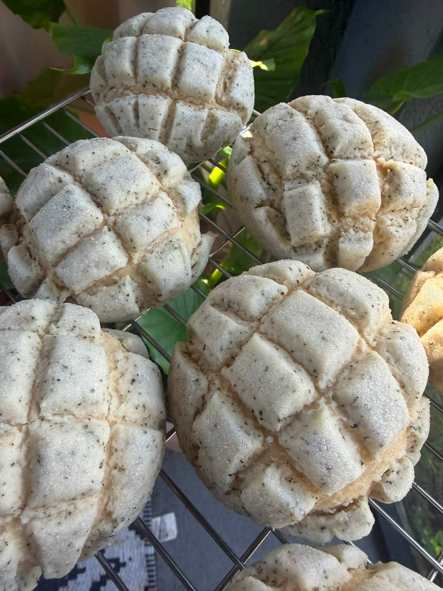 🇺🇸オレゴン州より。 初めてクロワッサン焼きました。 ロールパンの
