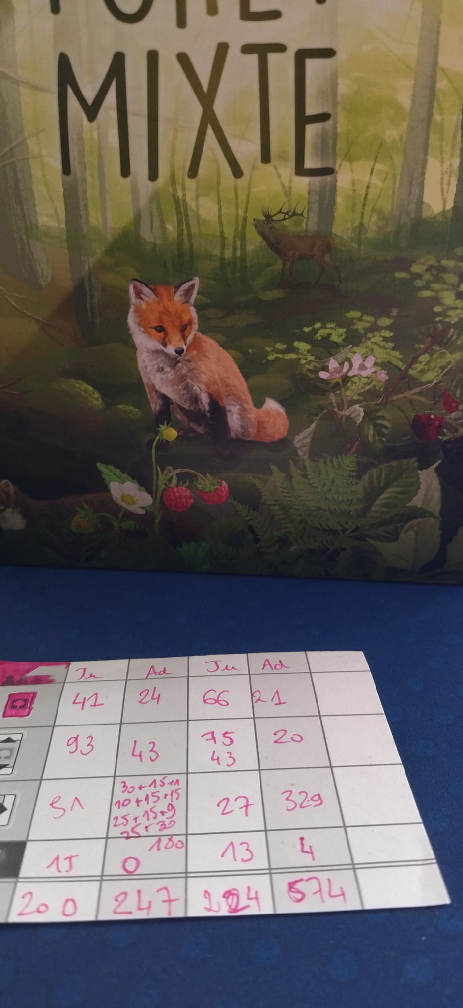 Asmodee Forêt Mixte – Jeu De Cartes Nature, Créez Un Écosystème, 2 à 5 Joueurs Dès 10 Ans, 60 Min