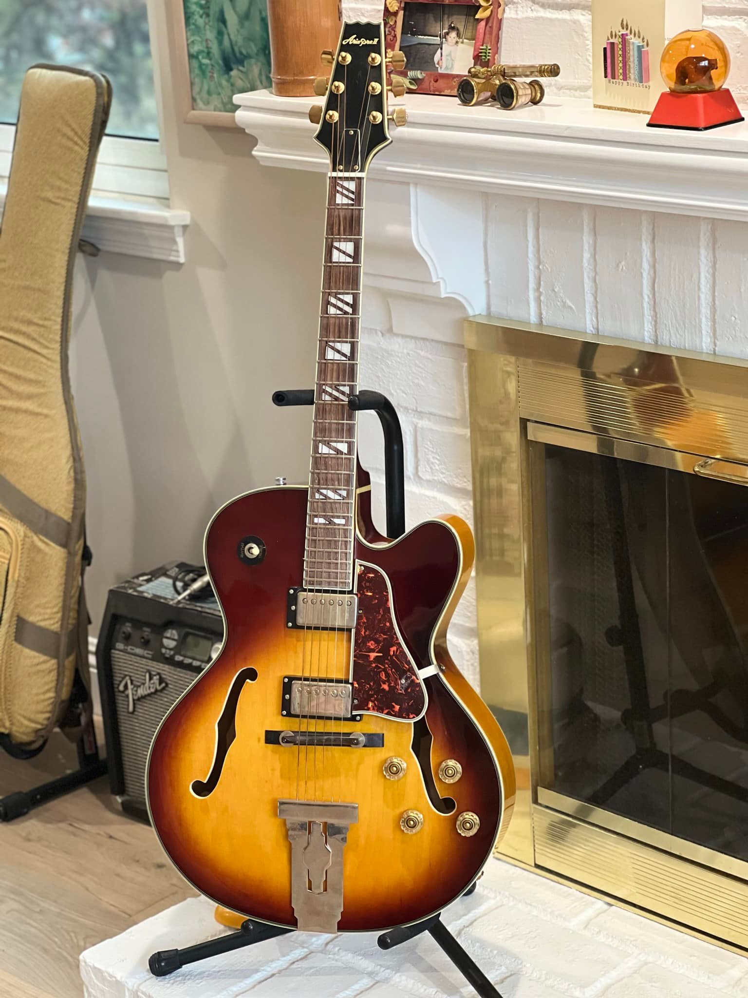 Aria Elecord - Folk Electric FE-70 Sounds great plugged in or