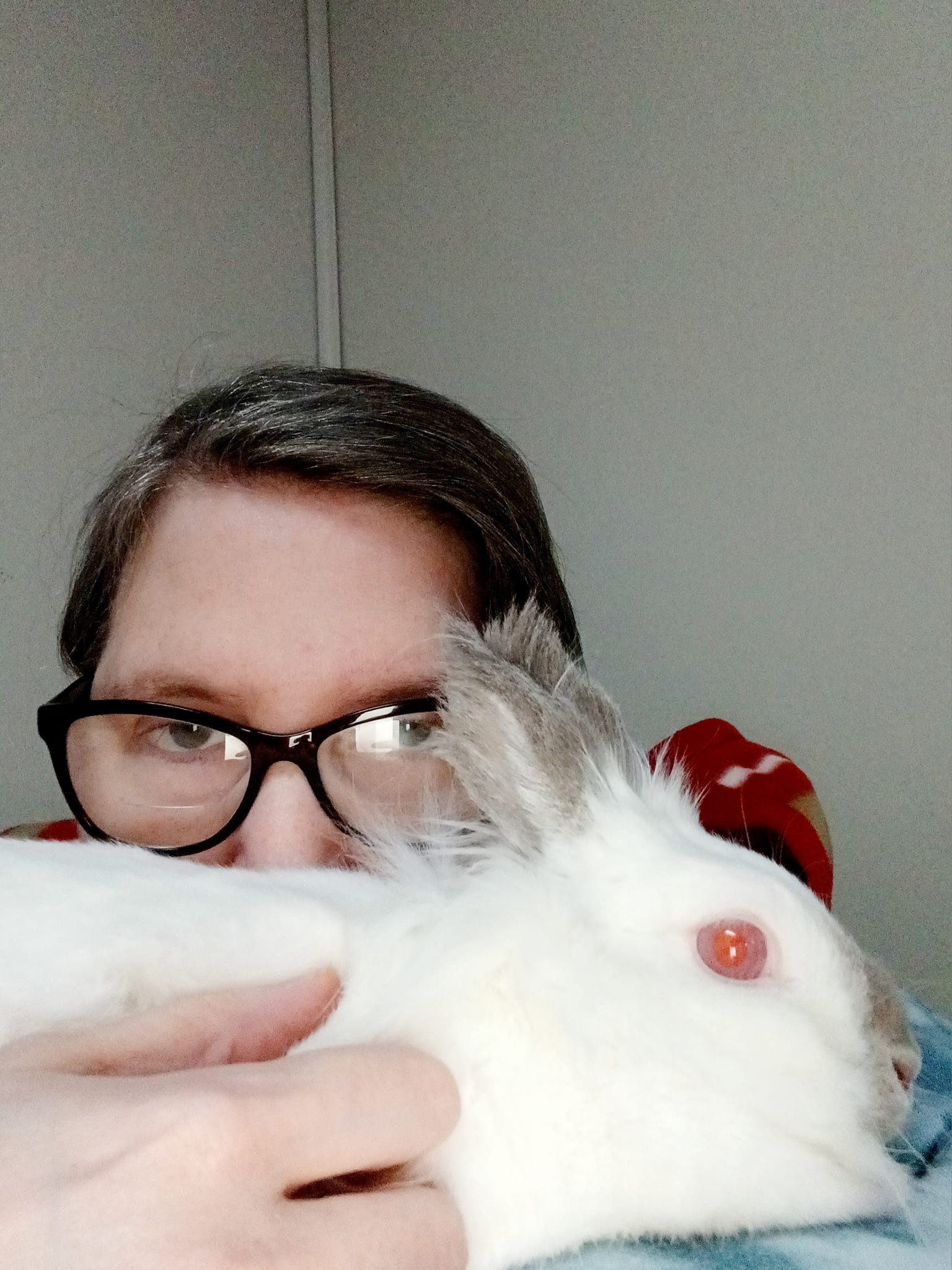 House Rabbit Society | Don't bunnies just smell devine | Facebook