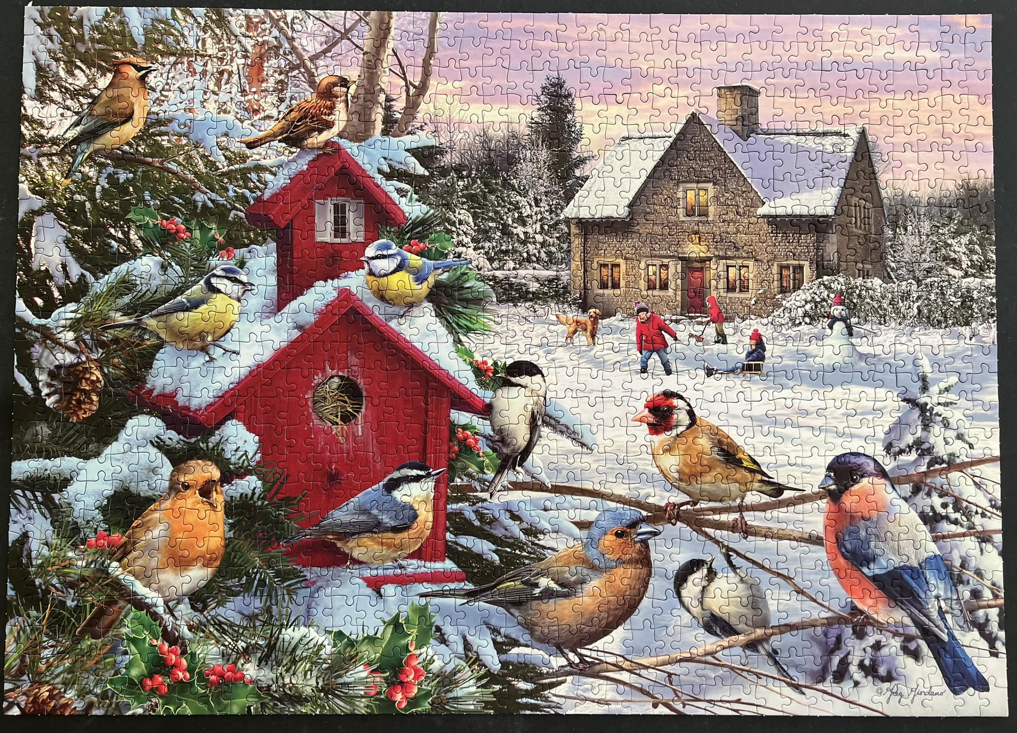 Gibsons Winter Puzzle - 1000 Piece Jigsaw Puzzle For Adults & Teens