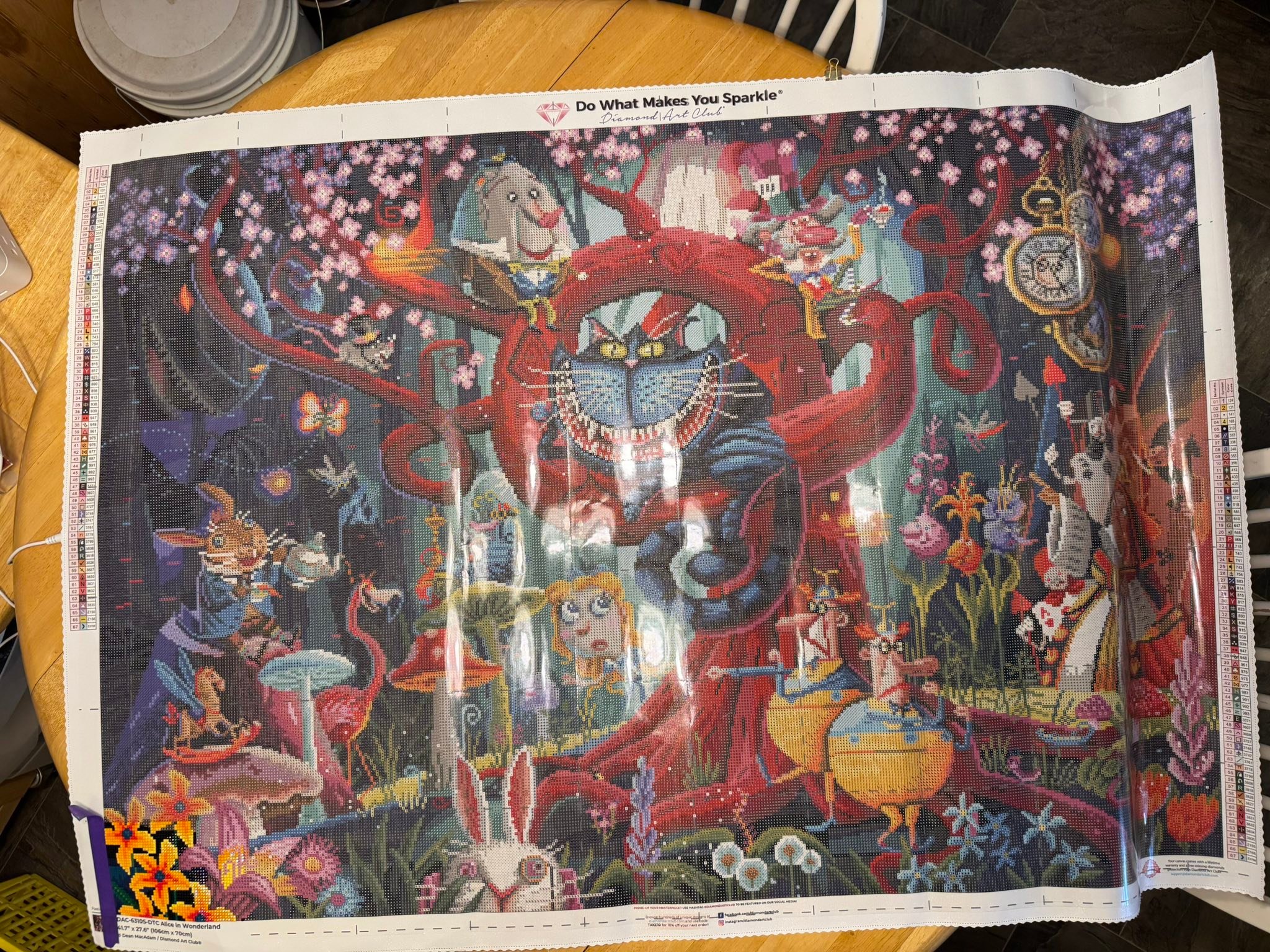 Diamond Art Club's Alice in Wonderland piece for beginner