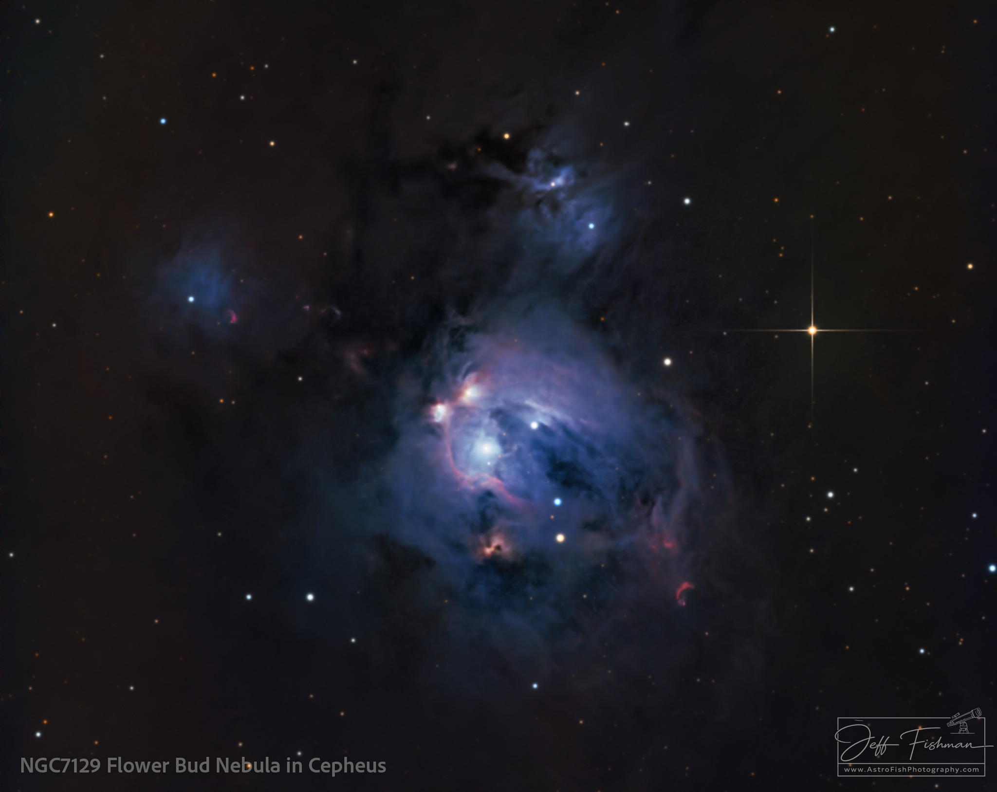 NGC 7129 Flower Bud Nebula in constellation Cepheus