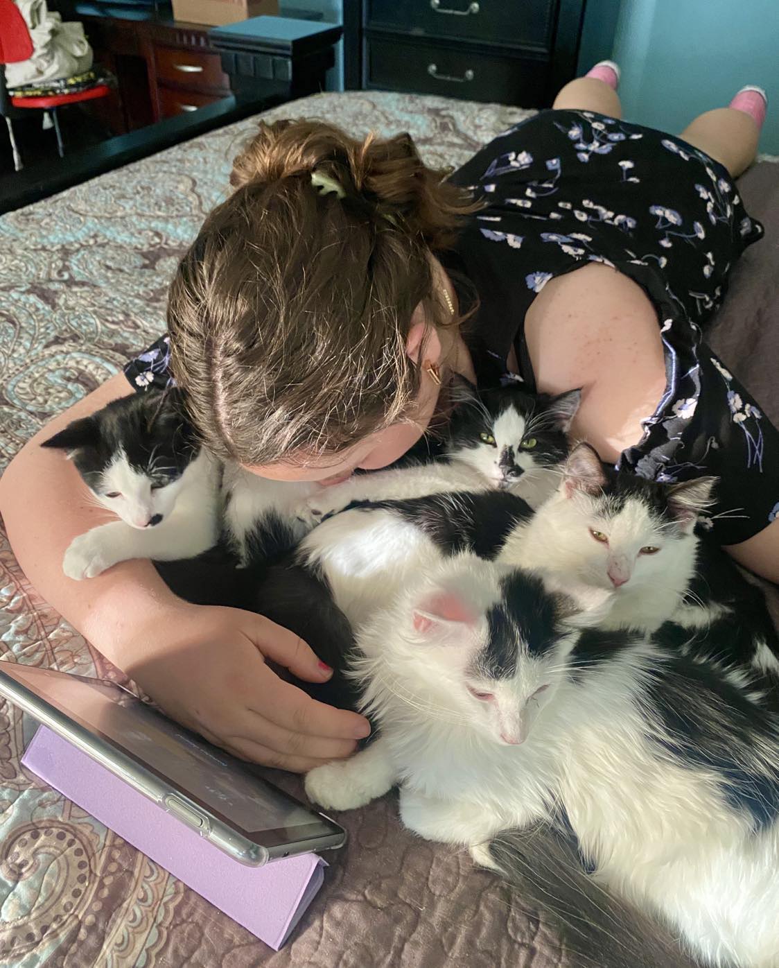 Cat lover and author joins the Cat Lovers Community 