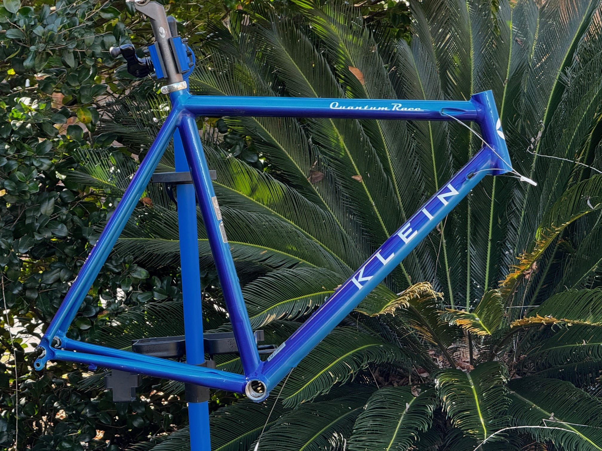 What would you do with a 2001 Klein Quantum race bike?